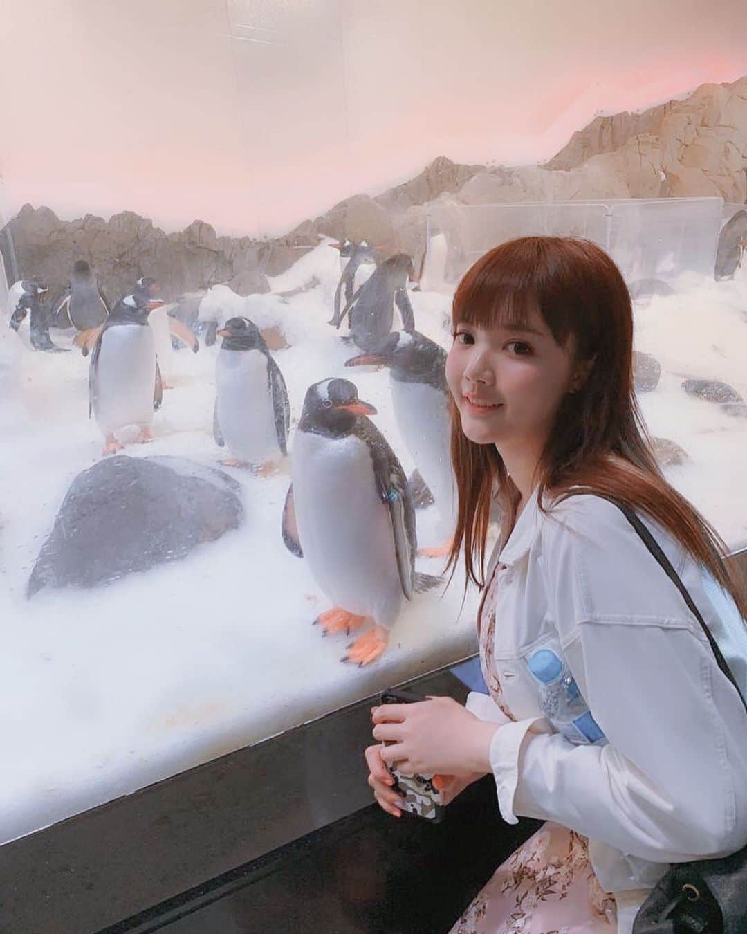 YingTzeさんのインスタグラム写真 - (YingTzeInstagram)「Love how the way this penguin looks at me. ❤️🐧 _ For those wondering about my previous post : I’m 174 cm 🤣 📸 @soo87  _ #blessed #ytztravels #sealifeaquarium  #melbourne #australia #penguins」12月29日 6時19分 - yingtze