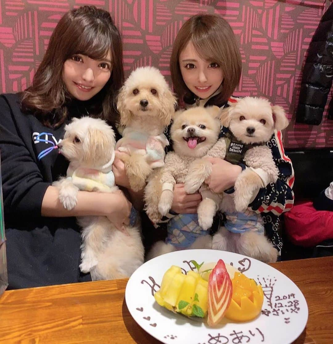 サキ吉さんのインスタグラム写真 - (サキ吉Instagram)「めあたんのお誕生日会しました🥰 家族会🐶❤️ 本当に平和で癒される会💋 今年も本当にありがとう👏 いつも可愛くて元気なめあたんが大好きです😘 ． プレゼントは私と色違いのGUCCIのハットにしたよん🥰💖 2人でかぶるの楽しみ💋 ． ツナはむーちゃんと会えて嬉しそうだった🐶🐶 夢吉も久しぶりに嫁に会えてまんざらでもない顔😂 ゆめツナのモコモコお洋服は @vague_dogwear_official のです😘💋 この子達はいつもここのお洋服🐶 ． #犬のいる暮らし  #親子 #家族会 #ポメラニアン #マルプー #ポメマルプー #六本木 #お誕生日会」12月29日 12時01分 - sakikichi1201