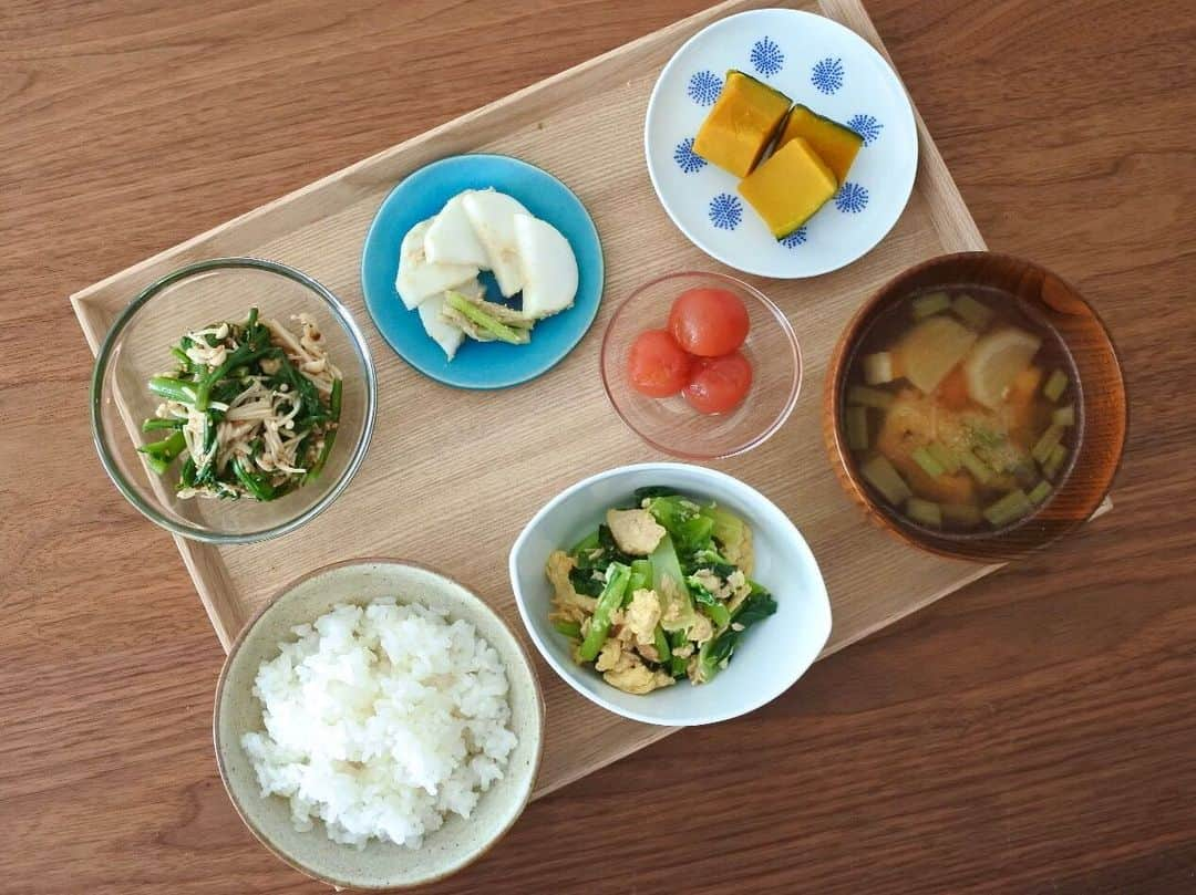 中山美香さんのインスタグラム写真 - (中山美香Instagram)「残り物で朝ご飯。今日も小鉢多😂 レパートリーがないのでほぼほぼ同じ様なものばかり😅 来年はもっと色々なものが作れる様になりたいな、と。 . . . #常備菜 #残り物 #朝ご飯 #朝ごはんの記録  #小松菜 #卵 #ツナ #味噌汁 #かぼちゃ #ぬか漬け #大根 #かぶ #トマト #マリネ #春菊 #えのき #胡麻和え #朝ごはんプレート  #breakfast #washoku #petitdejeuner #無印良品 #無印 #muji #大嶺工房 #白山陶器」12月29日 9時26分 - mika5nakayama