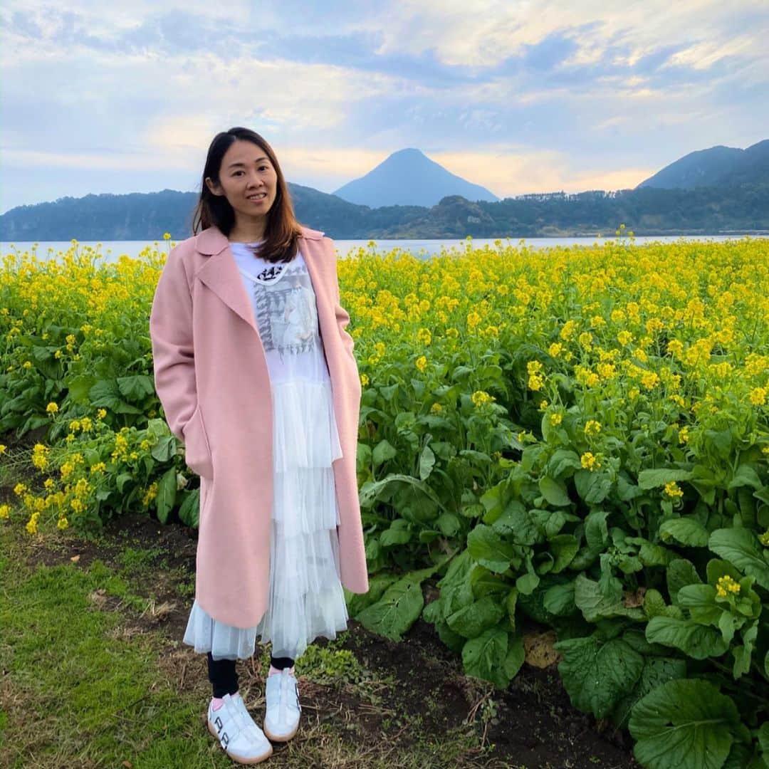 Little Miss Bento・Shirley シャリーさんのインスタグラム写真 - (Little Miss Bento・Shirley シャリーInstagram)「Kagoshima Day 3: A lucky day for us as the nanohana flowers were in full bloom when we visited Lake Ikeda.  Just look at the gorgeous view of Mount Kaimon with the 💐 at this largest volcanic lake in Kyushu. Lake Ikeda is actually also known for the purported sightings of mystical lake monster Issie-kun. . 📍 Ibusuki, Kagoshima Japan 🇯🇵 #kagoshima #visitjapan #ilovejapan #onlyinjapan #littlemissbento #travelogue #ibusuki #指宿市 #鹿児島」12月29日 9時52分 - littlemissbento