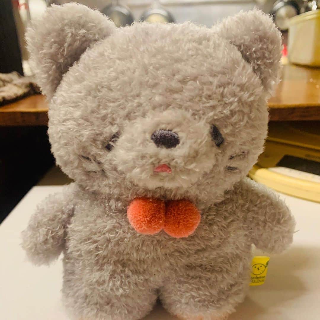 一条もんこさんのインスタグラム写真 - (一条もんこInstagram)「パンニャのみんながサプライズでお祝いしてくれました(≧∀≦) けいちゃんの手作りケーキに、 ズッキーが大好物の海老フライを作ってくれた！(*´ω`*)うおー！！泣 ケーキ、丸でいきました。  ねずみ風のネコちゃんが今日から子分になりました。 みんなありがとう！！大好きだ！！ 26歳になりました（詐欺） #パンニャ#ズッキー#けいちゃん#みゆ#ありがとう#ネコが田中さんに酷似#一条もんこ」12月29日 9時52分 - monko1215