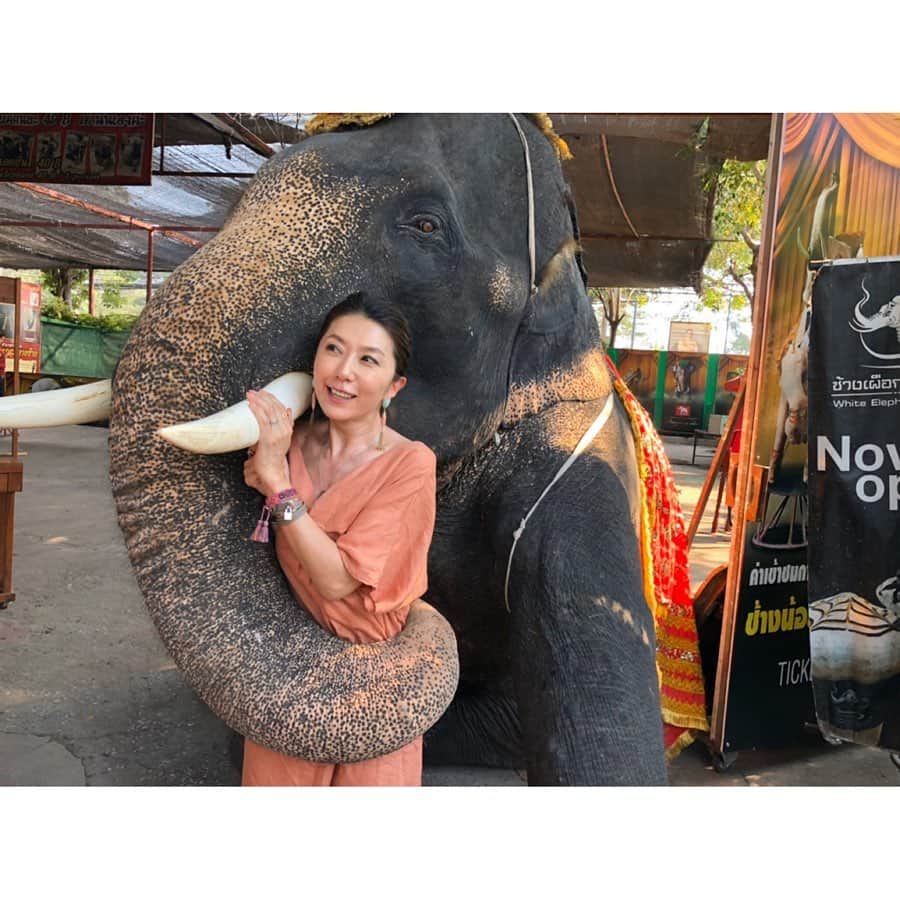 坂田陽子さんのインスタグラム写真 - (坂田陽子Instagram)「バンコクから車でおよそ1時間半の400年の栄華を誇ったというアユタヤ王朝の遺跡巡り。 ・ 象さんに鼻でバックハグされて、 最初はおっかなびっくり。 ・ そして、最後は受け入れる😂😂 ・ ・ #アユタヤ遺跡  #遺跡巡り　#象乗り体験 #象さんのバックハグ #世界遺産 #ワットマハタート」12月29日 21時11分 - yokosakata