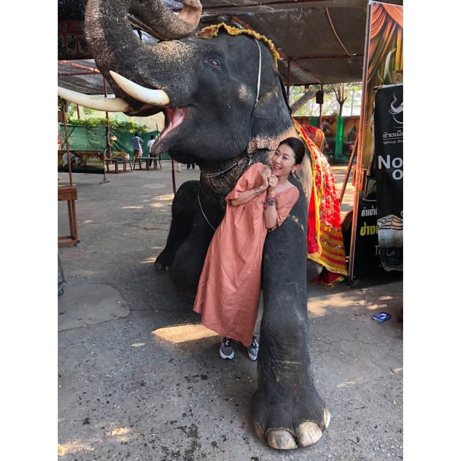 坂田陽子さんのインスタグラム写真 - (坂田陽子Instagram)「バンコクから車でおよそ1時間半の400年の栄華を誇ったというアユタヤ王朝の遺跡巡り。 ・ 象さんに鼻でバックハグされて、 最初はおっかなびっくり。 ・ そして、最後は受け入れる😂😂 ・ ・ #アユタヤ遺跡  #遺跡巡り　#象乗り体験 #象さんのバックハグ #世界遺産 #ワットマハタート」12月29日 21時11分 - yokosakata