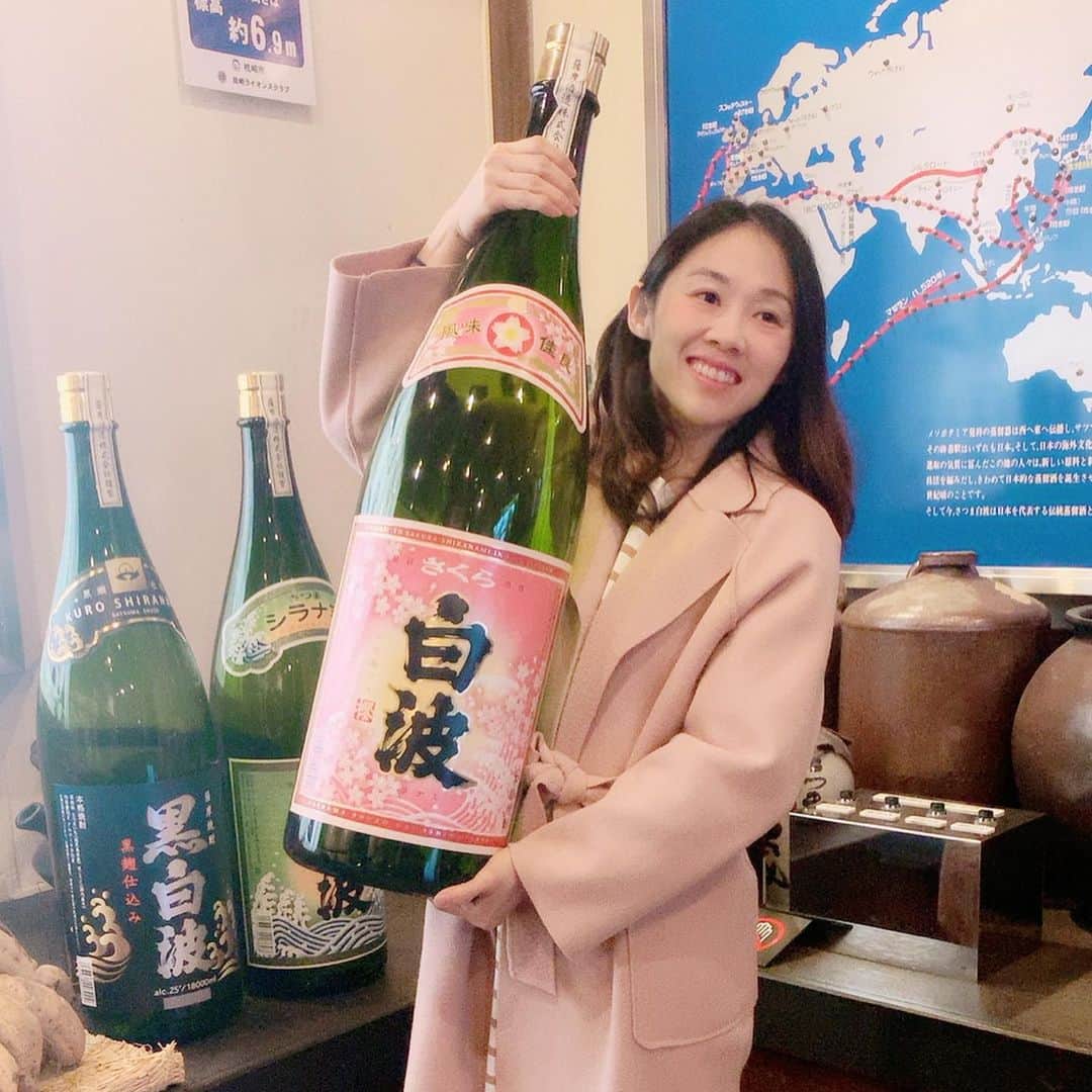 Little Miss Bento・Shirley シャリーさんのインスタグラム写真 - (Little Miss Bento・Shirley シャリーInstagram)「Kagoshima Trip wrap up post: let’s have some Japanese shochu 焼酎!  Visited Satsuma Shuzo's Shochu factory and museum - Meijigura.  Using the traditional methods dating back to the Meiji Era, Meijigura's uses fresh, never frozen, sweet potatoes to produce their 🍠 Imo Shochu.  Open to the public throughout the year. Admission is free. Meijigura's production cycle usually runs from August until May to maximize visitors' chances of seeing the Shochu Satsuma Shuzo's Shochu factory and museum. 📍Makurazaki, Kagoshima  https://www.satsuma.co.jp/english/con-tour-page.html」12月29日 21時13分 - littlemissbento
