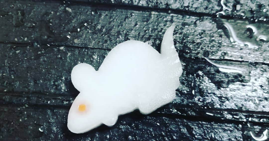 出口博幸のインスタグラム