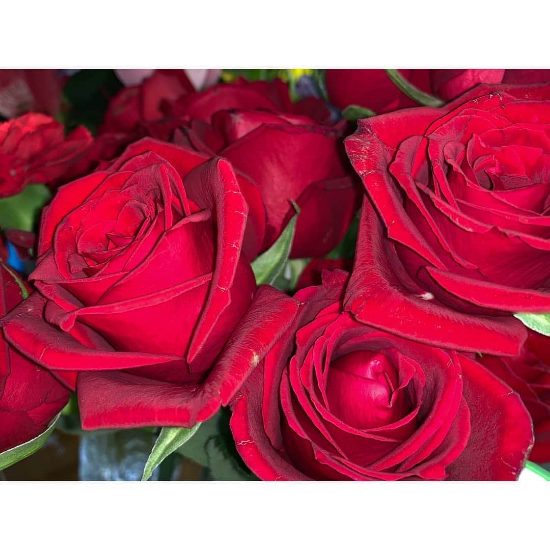 大竹ひとみさんのインスタグラム写真 - (大竹ひとみInstagram)「🥀 . . #iphotography #rose #roses #flower #flowers #instaflower #instabloom #instablooms #instagood #instalike」12月29日 19時59分 - iamhitomi_48