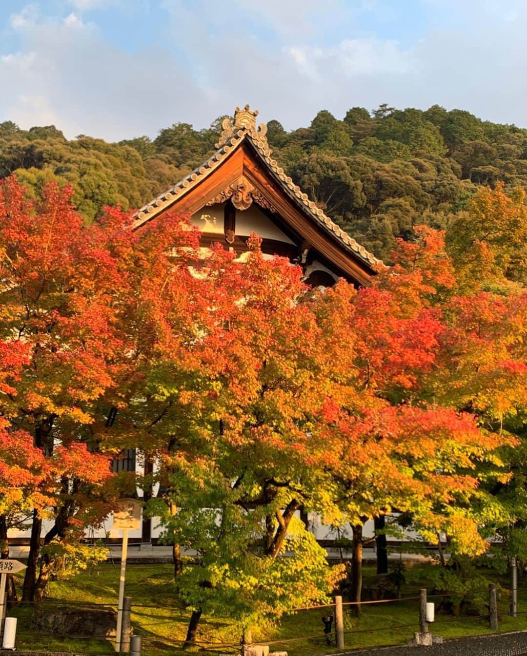 大日方久美子さんのインスタグラム写真 - (大日方久美子Instagram)「・ まるで絵画のような紅葉だった11月の京都永観堂🍁 ・ 自然の美しさに勝るものはないですね。 この色合いを見て、色合わせの勉強をしています。  真っ青な空と紅葉の赤を見て赤のコートの下にブルーのセーターを合わせてみたり。  絶対なんてないけど自然が作る色合いだけは絶対だと思っています。 ・ ・ #kumitravelstyle  #パーソナルスタイリスト #京都 #永観堂 #モノトーン #最近モノトーンばかり #一つ前のスタイリングもモノトーン」12月29日 20時14分 - kumi511976