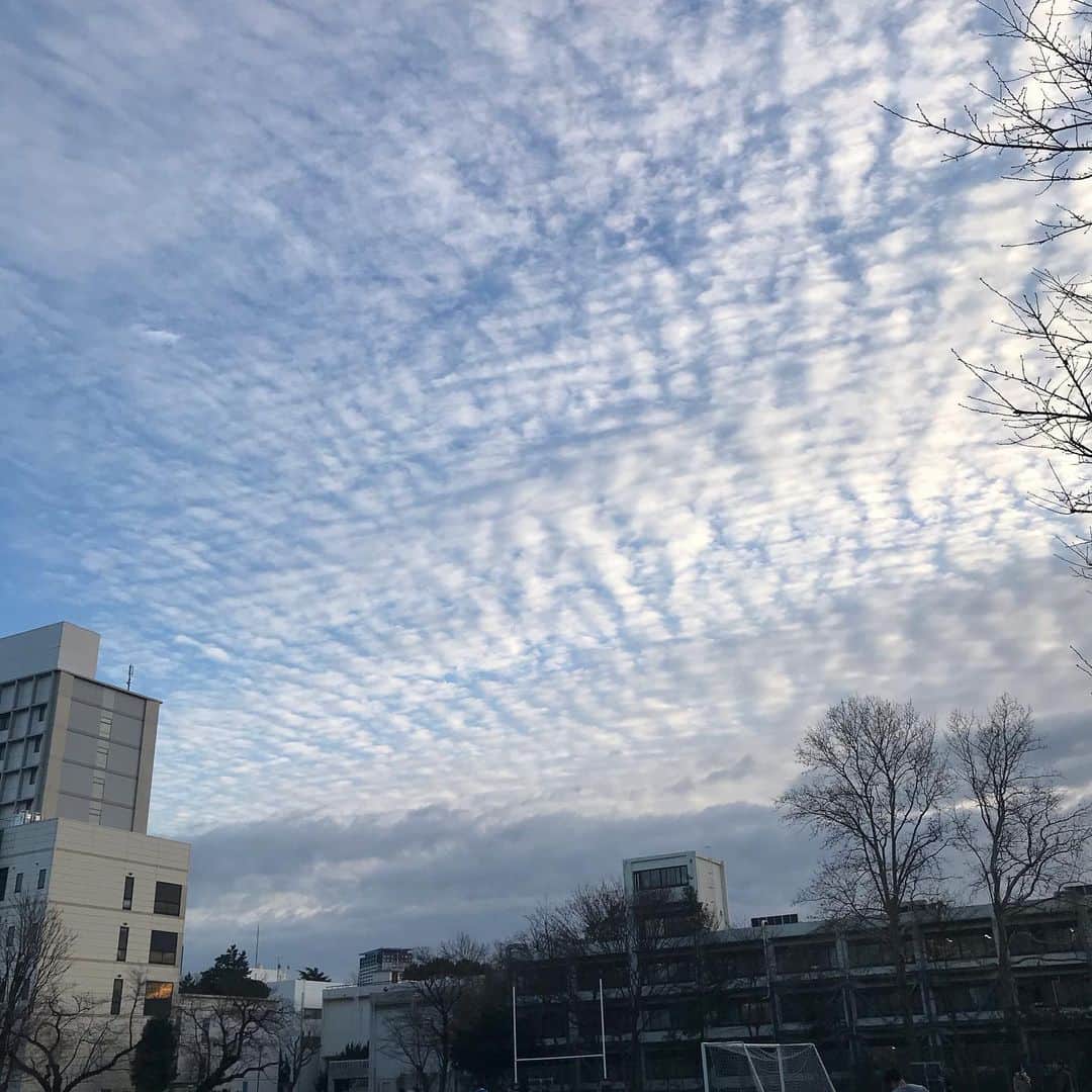 のインスタグラム：「#tokyosky #lookslikefallclouds #amiwrong? #3rdlastskyintokyo2019」