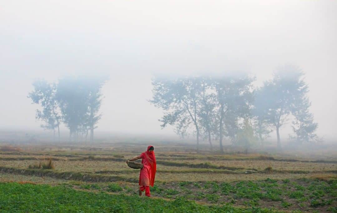 のインスタグラム：「Photo by @stephsinclairpix | A young woman walks through the fog in the early morning near the city of Kapilvastu, Nepal. Although child marriage has been illegal in Nepal since 1963, 40 percent of girls are married by age 18 and 7 percent are married before age 15. Police rarely act to prevent a child marriage or bring charges, and they almost never do so unless a complaint is filed. Poverty, lack of access to education, child labor, social pressures, and dowry practices are among the factors driving child marriage. For more images, follow me @stephsinclairpix @tooyoungtowed. #letgirlslearn #girls #women #nepal」