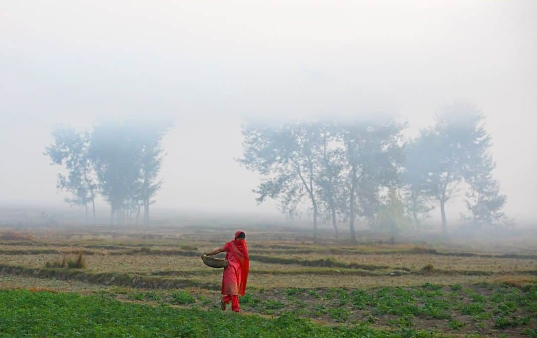 ナショナルジオグラフィックさんのインスタグラム写真 - (ナショナルジオグラフィックInstagram)「Photo by @stephsinclairpix | A young woman walks through the fog in the early morning near the city of Kapilvastu, Nepal. Although child marriage has been illegal in Nepal since 1963, 40 percent of girls are married by age 18 and 7 percent are married before age 15. Police rarely act to prevent a child marriage or bring charges, and they almost never do so unless a complaint is filed. Poverty, lack of access to education, child labor, social pressures, and dowry practices are among the factors driving child marriage. For more images, follow me @stephsinclairpix @tooyoungtowed. #letgirlslearn #girls #women #nepal」12月29日 20時38分 - natgeo