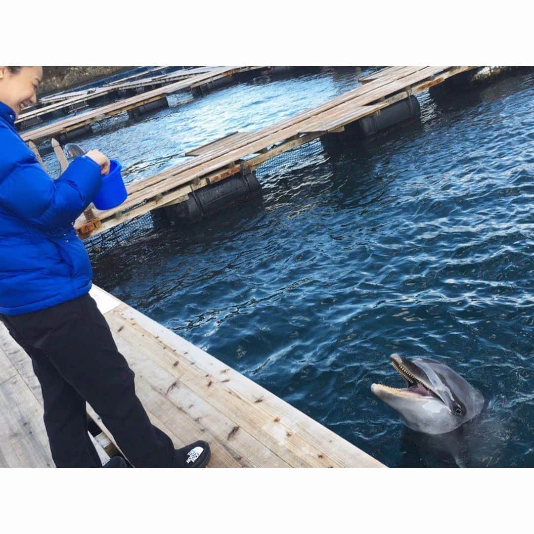 樹神さんのインスタグラム写真 - (樹神Instagram)「熊野速玉大社参道の「もうで餅」。 梛の葉を添えてもらえました。  引っ張ってもなかなか切れない葉の一枚一枚にまで神様が宿り、そのご守護がありますようにとのことです。  昔の熊野詣での大変さを思えば、近くまで車で行けてしまいはするのですが、家族7人で古道や延々と続く階段を登っていくのはとても良い時間でした。  太地町のくじらの博物館も楽しかった♪  #三重#和歌山#熊野#花の窟神社#熊野速玉大社#熊野那智大社#那智山青岸渡寺#那智の滝#パワースポット#気#くじらの博物館#かわいい#くじら#餌付け#温泉同好会#もうで餅#ナギ」12月29日 12時18分 - kotamaofficial