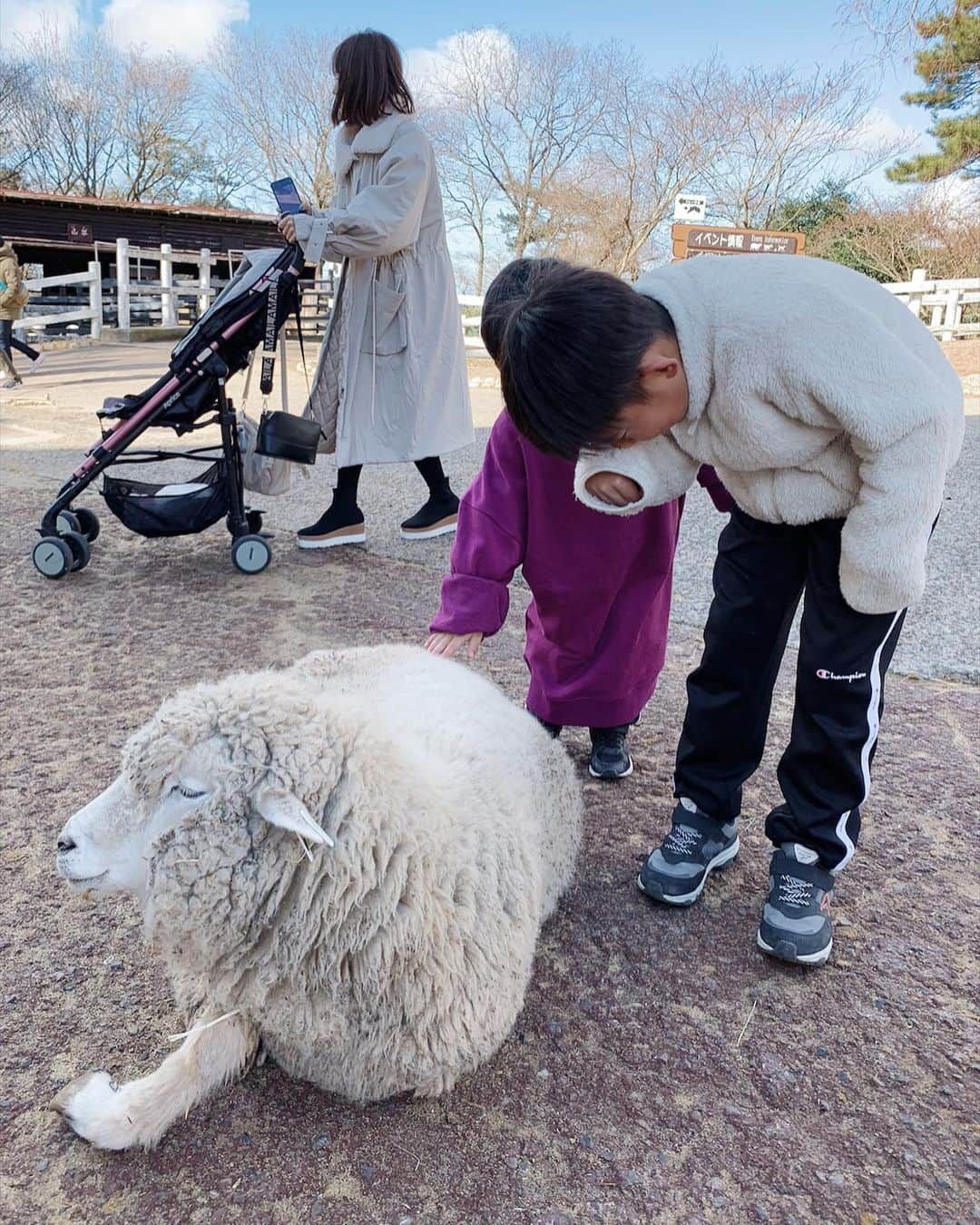 三方美穂さんのインスタグラム写真 - (三方美穂Instagram)「だれよりもカメラ目線🐑 その辺に歩き回ってる羊さん。 初めて #六甲山牧場 に行ってきたよ〜🧡 最後の動画は私のお気に入り☺️ いつもこんな変な事ばっかり言ってるお姉ちゃん。笑 DMではたくさんご返信ありがとうございます！ 正解は紅茶花伝のCMです☺️笑 CMをちゃんとみると全然間違ってるんですけどね！ #神戸 #甥っ子 #姪っ子 #温泉旅行 #温泉大好き家族 #年末 #羊」12月29日 12時47分 - mihomikata