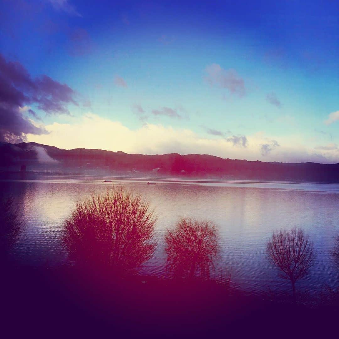 増本 庄一郎さんのインスタグラム写真 - (増本 庄一郎Instagram)「年末恒例の旅 #諏訪湖 #樹齢千年」12月29日 13時16分 - shoichiro_masumoto