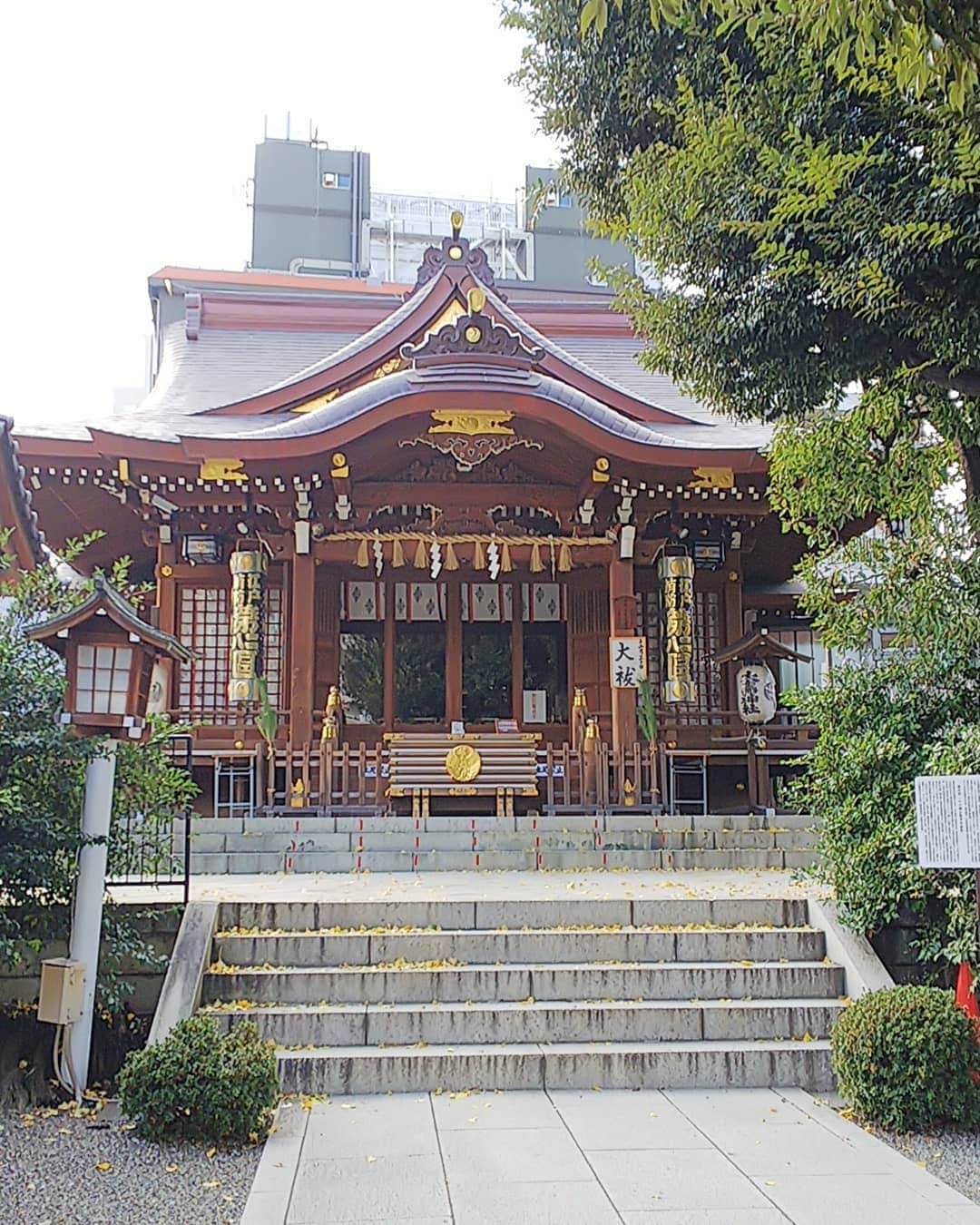 三宅裕子さんのインスタグラム写真 - (三宅裕子Instagram)「参拝記録⛩️ #目黒 にある #大鳥神社 *°♡ 大好きな御祭神は #日本武尊 様です。 同じ大鳥神社でもここはアットホームなようで初めましてなのもあってかピシッと真面目にしてないといけないイメージでした🤔 きっと通えば和やかな気の神社のはず☺  境内にある大きなイチョウがすごくパワーがありました✨ またお参りしたいと思います🎶  #meguro #目黒パワースポット #powerspot #神社好きな人と繋がりたい」12月29日 13時26分 - yuko_miyake
