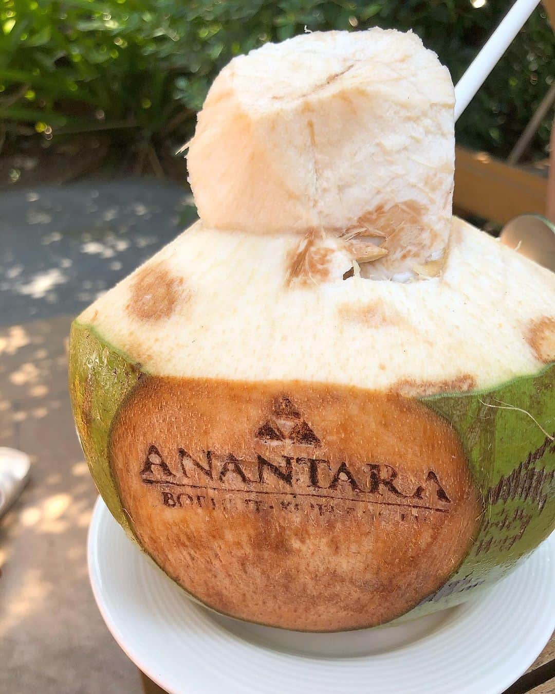 美舟さんのインスタグラム写真 - (美舟Instagram)「濃厚なCoconut juice 🥥 本当に味がしっかりしていて、自然な甘みで 美味しい💕  #coconut #juice #anantara #kosamui」12月29日 13時59分 - mifune2014