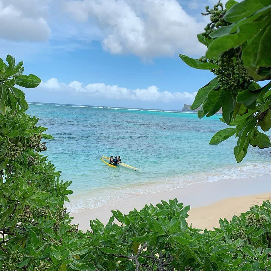 川島幸美さんのインスタグラム写真 - (川島幸美Instagram)「楽園🌺🌊✨」12月29日 14時50分 - yukimikawashima