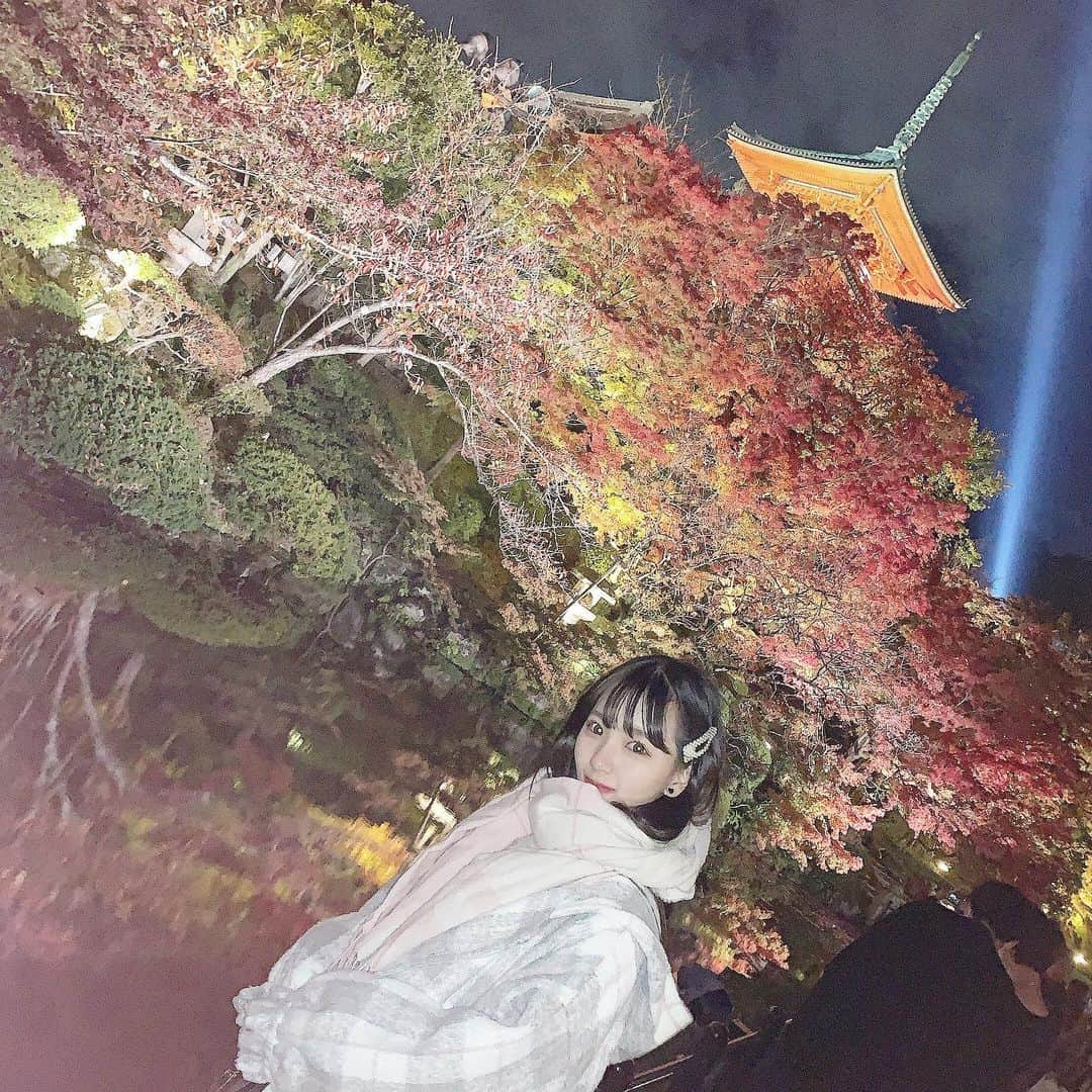 末永桜花さんのインスタグラム写真 - (末永桜花Instagram)「⸜ 🐇 ⸝‍﻿ ﻿ ・﻿ ・﻿ ・﻿ ・﻿ ﻿ ﻿ ﻿ ﻿ #聖地巡礼 #修学旅行 #清水寺 #ライトアップ #京都 #京都観光」12月29日 15時32分 - ouka_ske0226