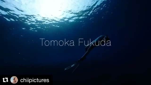 のインスタグラム：「この間潜った時のMovieです✨ちいちゃんありがとう💗📹#Repost @chiipictures ・・・ In the Winter Ocean. we dive in the whale songs. Now they are coming here.  Of course this time, in last week, we could hear them.  model @tomoka_fukuda  #underwatervideo #KeramaIslands #Okinawa #Japan  冬の海。 クジラの歌声の中を潜る。  冬だけど、寒いの嫌いだけど、 あったかい日を狙って また遊びで撮影行ってきたよ！  今回は慶良間諸島！  クジラがちょこちょこ 集まってきてるみたいで 声が聴こえてたの嬉しい ～  とゆーことで、とりいそぎ、 こんな1カットでの単純動画作成！  動画と写真の間… みたいなこの表現好きだ！ 音まで表現の１つって、 幅が広がって楽しいね！  冬の日差しはちょっと暗くて しかもたまに曇ってたけど、 これはこれで、 冬っぽさが出て良いわー。笑  @gopro @goprojp  #video #underwaterphotography #film #surf #surfing #scubadiving #freediving #skindiving #diving #sea #ocean #photograph #underwater #慶良間 #沖縄 #素潜り #海 #サーフィン #ダイビング #フリーダイビング #スキンダイビング #水中写真 #filmwalkr #divermag #gopro」