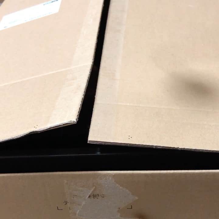 前田佳代乃のインスタグラム：「昨日から帰省してます🛬🏠 ルナ🐱の新技・箱猫📦 ルナさん実家でも絶好調です🤣  まさかダンボール1つでこんなに遊べるとは笑笑 #ベンガル #ベンガルキャット #仔猫」