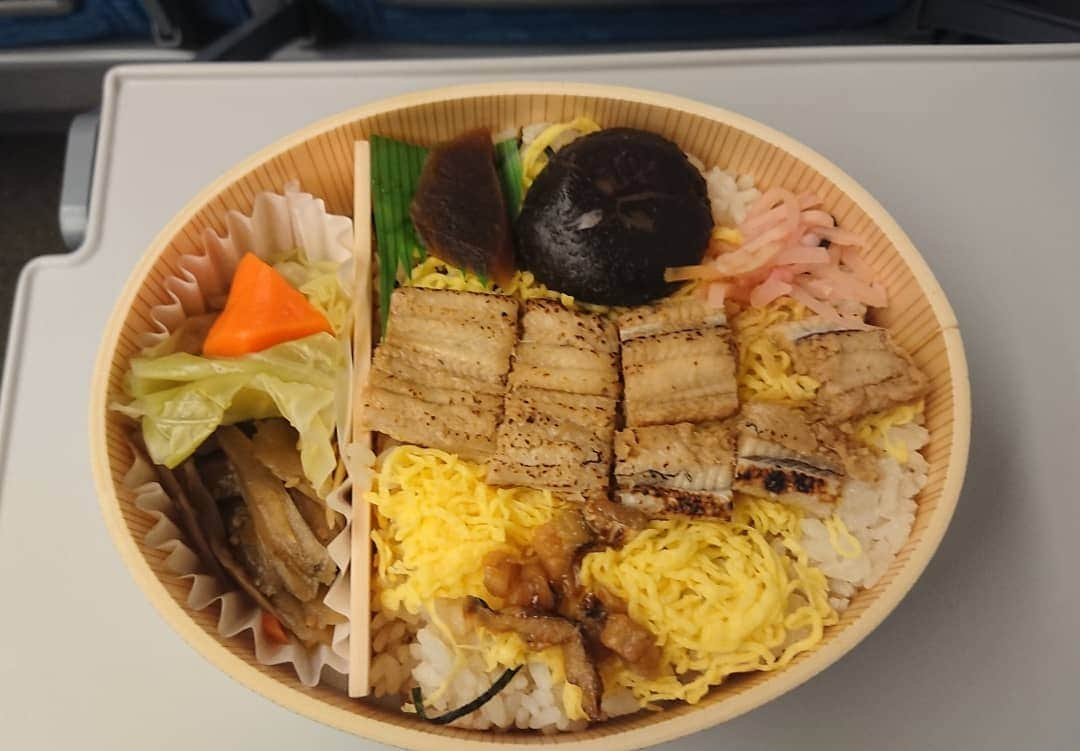 佐藤大さんのインスタグラム写真 - (佐藤大Instagram)「穴子飯、駅弁ってなんでこんなに美味いのか #姫路 #駅弁 #駅弁は奥が深い」12月29日 21時23分 - satodaidaidai