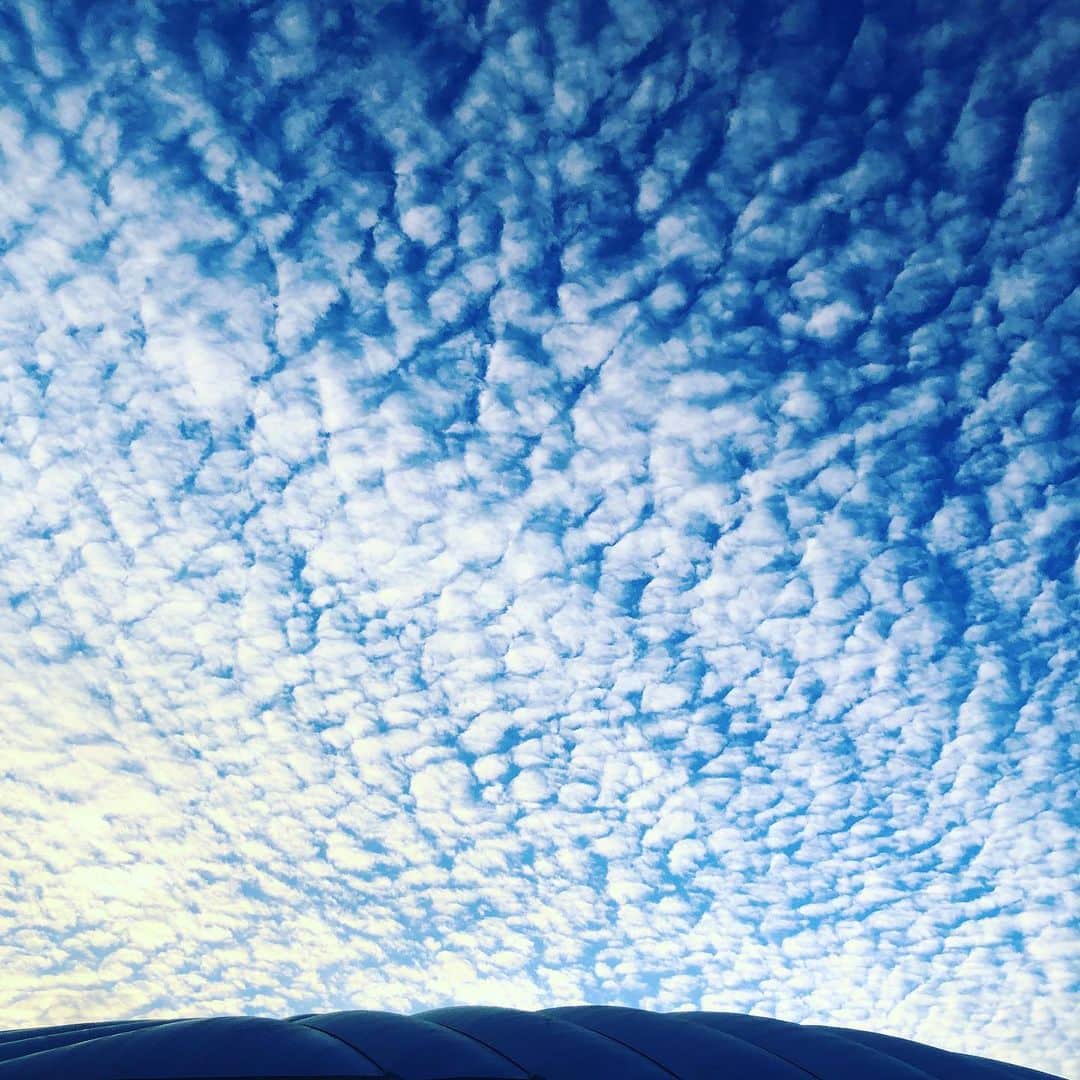 清水あすかさんのインスタグラム写真 - (清水あすかInstagram)「#asukahimesky  #skylovers  #sky  #空が好きな人と繋がりたい  #空 #雲」12月29日 16時23分 - asukahime1015