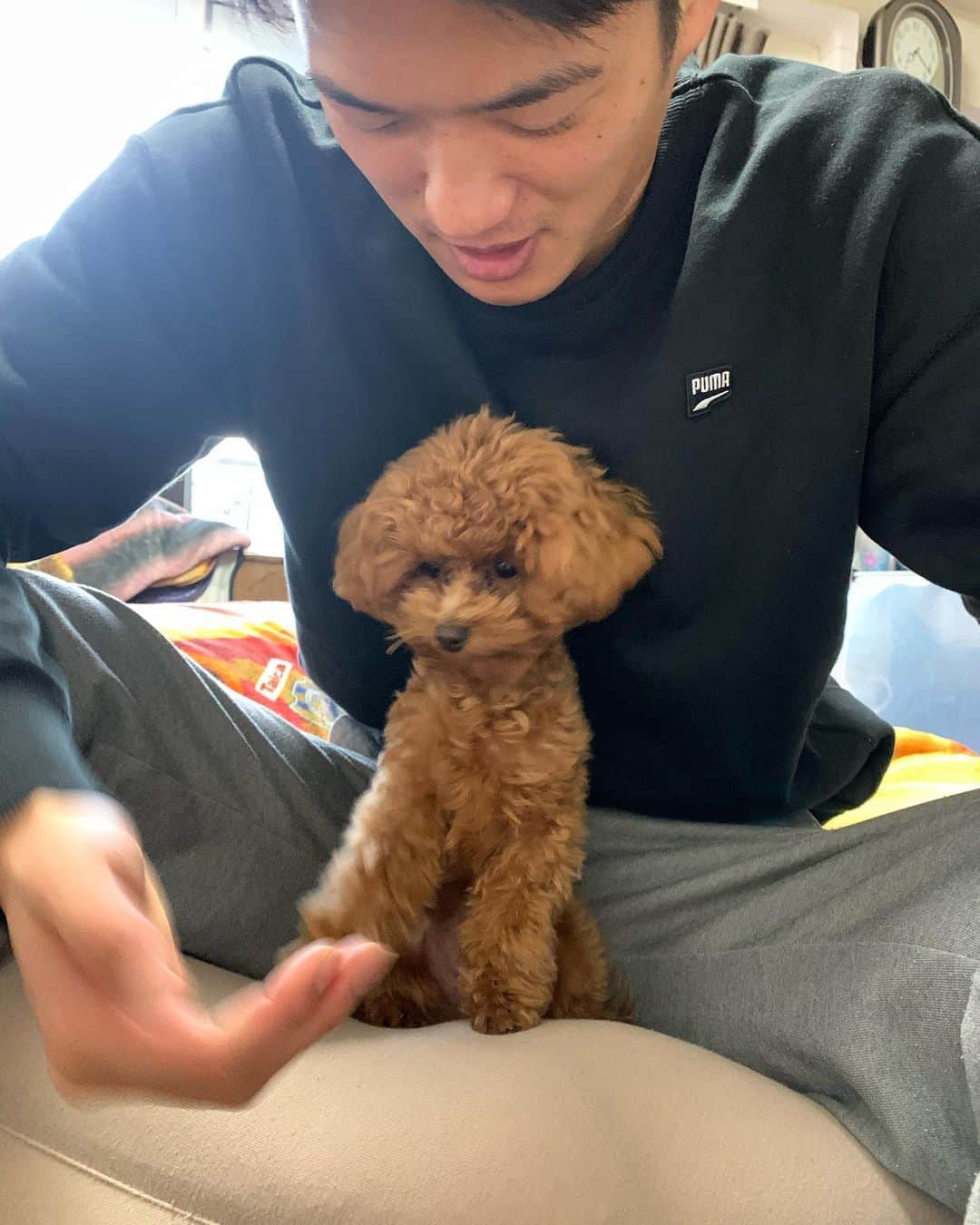 北川航也のインスタグラム：「🐶😍 @kork.0306  #コルク🐾  #kork #ヨープー  #コル #コル吉 #呼び方どんどん変わる #けど名前はコルク」