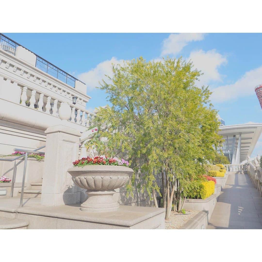 こばしり。さんのインスタグラム写真 - (こばしり。Instagram)「この間、お母さんと神戸旅行行ってきた🚃﻿ ﻿ 女子旅だ！という事でとにかく可愛いホテルや綺麗な神戸の街並みを散歩したり、色んな所行ったから沢山写真あげる📸﻿ ﻿ #神戸 #ホテルラスイート神戸ハーバーランド」12月29日 17時43分 - lovetomato_24