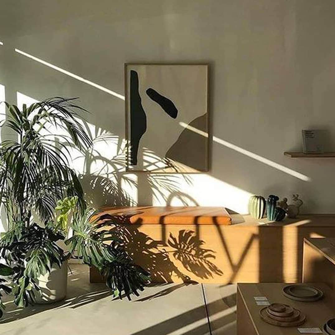 ベンシモンのインスタグラム：「Lumière hivernale 🍃  Photo Pinterest  #inspiration #pinterest #art #bensimon #home #inspi」