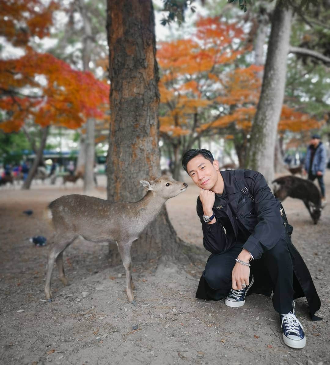 デスモンド・タンのインスタグラム：「Oh my DEER! Why are you so adorable? I've gotta say I'm a deer-magnet! 🧲🦌😉 And seriously, politeness in Japan is beyond words, even their deers bow 3 times when they are being fed! Swipe to last video and watch it. I guess I gotta teach Hoshi and Udon some table manners!  #kyoto #japan #narapark」