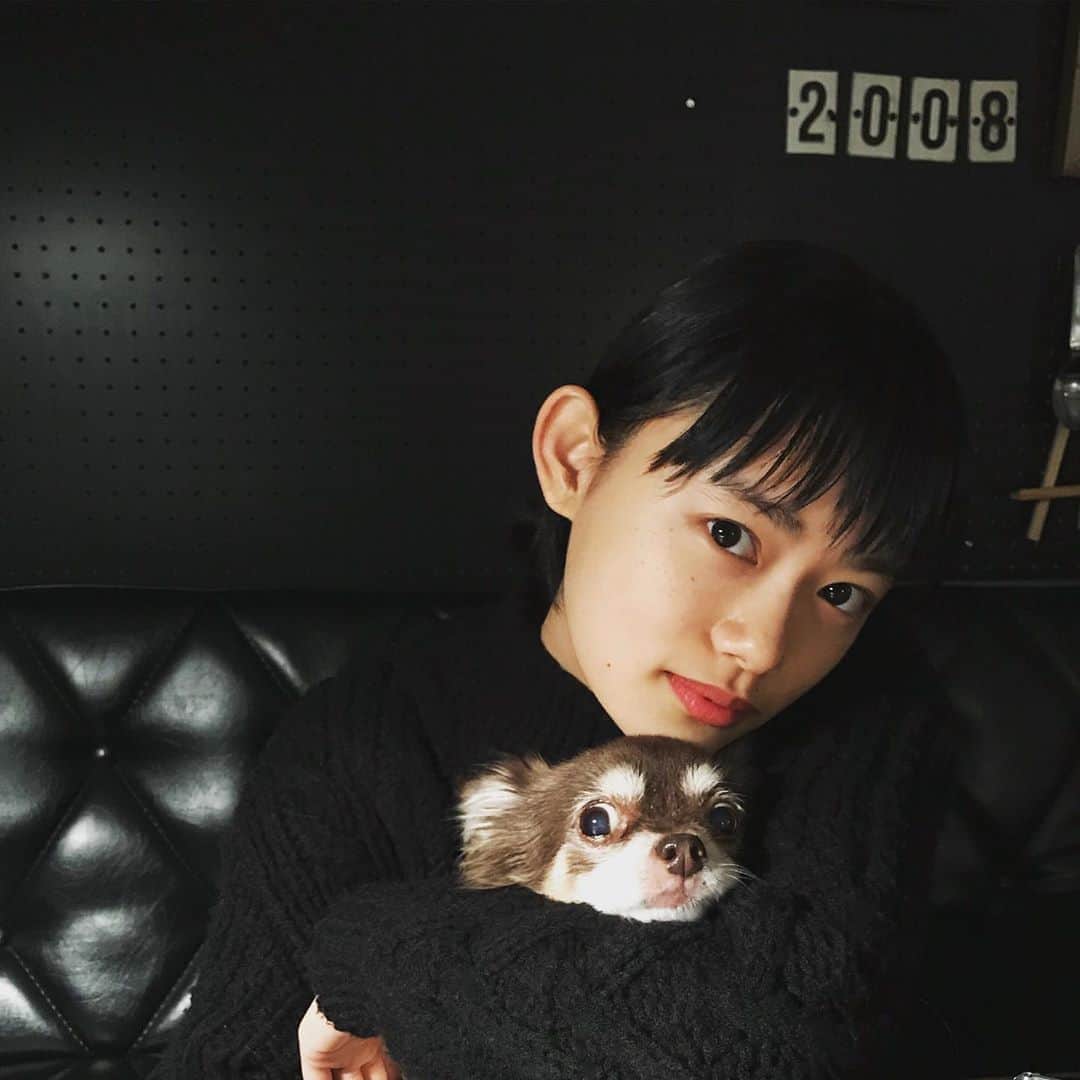 杉咲花のインスタグラム：「今年も一年間、ありがとうございました。 みなさま、よいお年を。🌹」