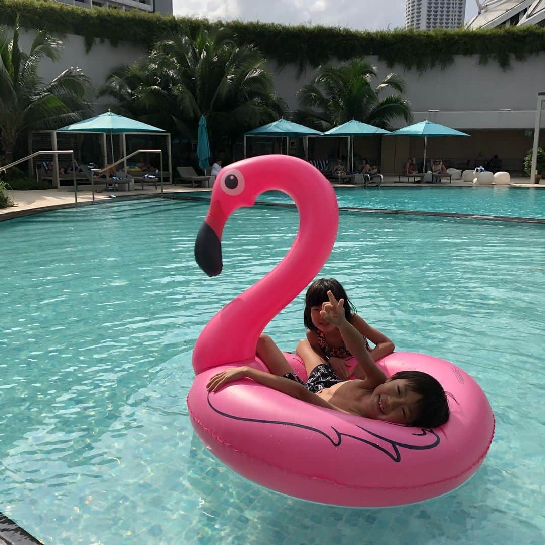 甘糟記子さんのインスタグラム写真 - (甘糟記子Instagram)「最終日のランチは、大家族の日記ちゃんと(//∇//) いつも色々お世話になって、予約してくれたり、教えてくれたり、本当にありがたいお友達(o^^o)  ふしぎ発見のレポーター同士、こんなずっと縁が続くと思わなかった〜！ 子供達も歳が近いから、一緒にいて本当に楽しいんだよね！！ そして、日記ちゃんの家のシッターさんが下のをとトイレに行ってる間に、小さい子にご飯を食べさせてくれるお店の人( ^ω^ ) ほんと、シンガポールの人って子供に優しい！！ 前も泣いてる子あやしてくれたりしてたもんね！  ありがたいわ〜！ ランチの後はホテルで最後のプール遊び。  最後まで遊ぶ（笑）  今回日記ちゃんにバターの大量買いをお願いしていたので、ホテルまで持ってきてくれて、ギリギリまでプールサイドでおしゃべり(//∇//) 楽しかったな〜！！ シンガポール大好きすぎて、帰りたくないもんね！（笑）  #甘糟旅行シンガポール#甘糟旅行#シンガポール#旅行#旅好き#冬休み#ミステリーハンター#大家族#大好きな友達#息子殿姫#息子殿#姫」12月29日 18時13分 - norihey924