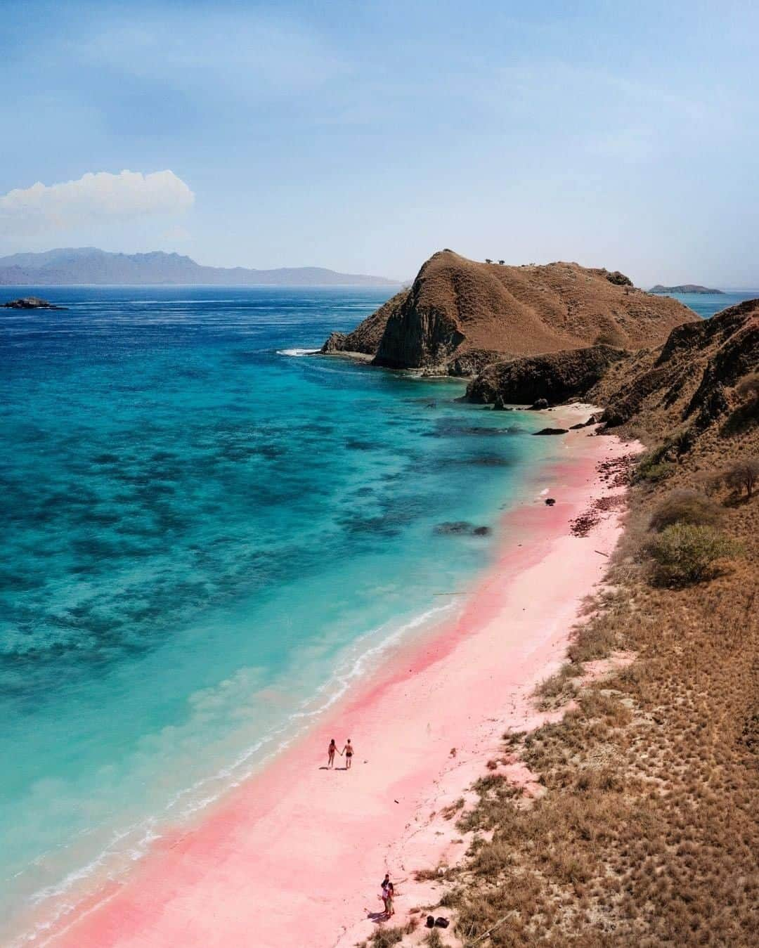 9GAGさんのインスタグラム写真 - (9GAGInstagram)「Whom would you want to visit this naturally pink beach with in Lombok? 🌸Follow @voyaged for more travel ideas for next summer! | By @thefreedomcomplex - #9gag #voyaged #travel」12月29日 18時34分 - 9gag