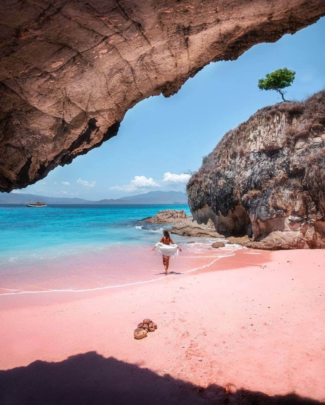 9GAGさんのインスタグラム写真 - (9GAGInstagram)「Whom would you want to visit this naturally pink beach with in Lombok? 🌸Follow @voyaged for more travel ideas for next summer! | By @thefreedomcomplex - #9gag #voyaged #travel」12月29日 18時34分 - 9gag