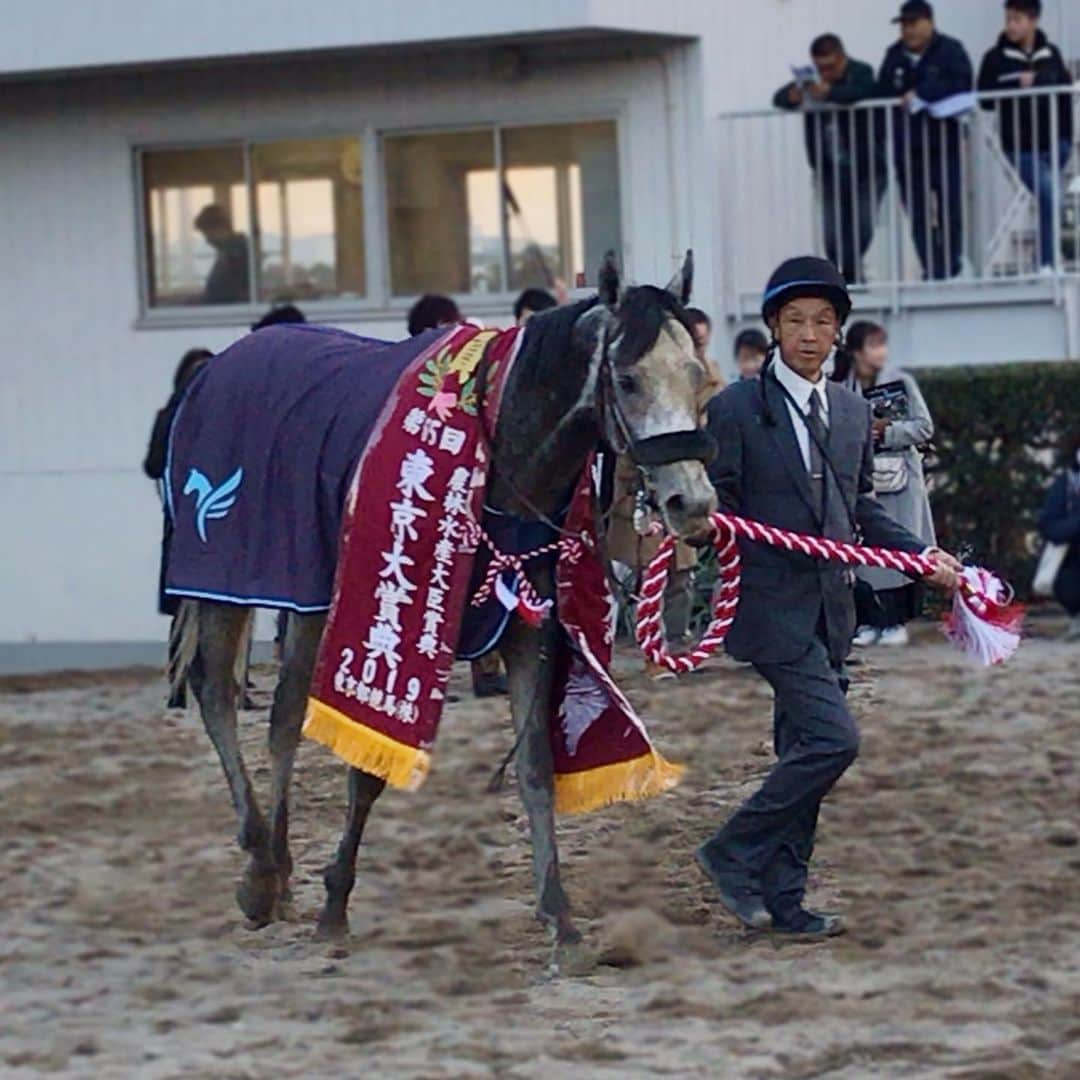 横山ルリカさんのインスタグラム写真 - (横山ルリカInstagram)「. #東京大賞典2019 #ありがとうございました 🏇✨ . #東京大賞典 #ミルコデムーロ騎手 騎乗の #オメガパフューム が連覇を達成🎉 . #私は #現地リポーター と #勝利ジョッキーインタビュー を担当させていただきましたが #今年最後のG1を勝利で締めくくった #デムーロ騎手 は本当に嬉しそうでした😆💐 . #TCKイメージキャラクター #中村倫也さん #賀来賢人さん #大谷亮平さん のお話も聞かせていただきました✨ . #ド緊張の1日でしたが #本当に貴重な経験をさせていただきました」12月29日 18時35分 - rurika_yokoyama_official