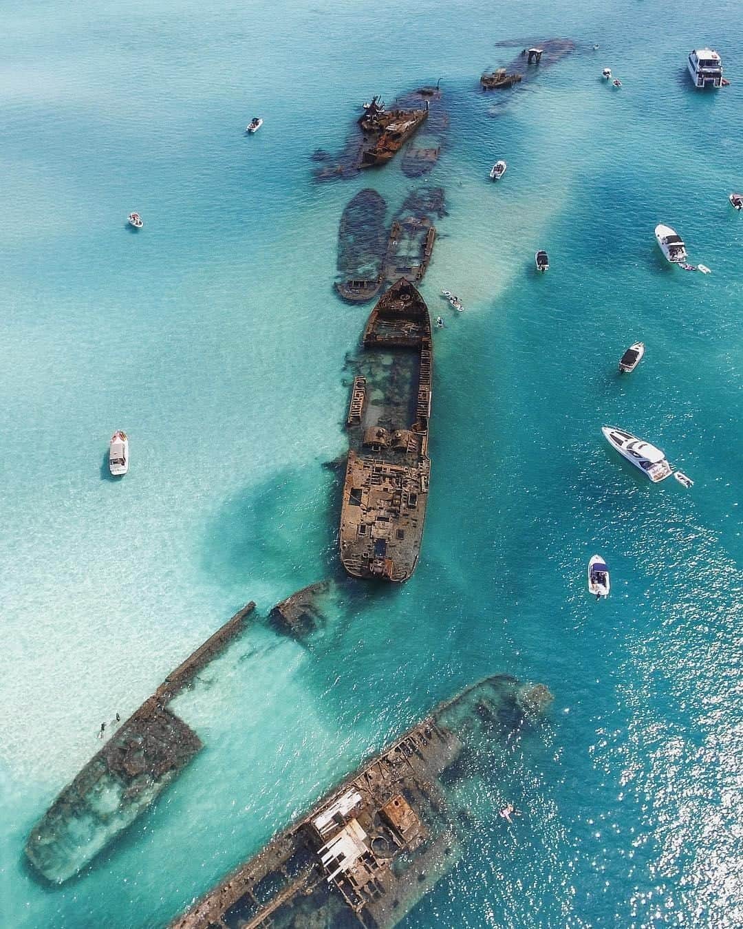 Australiaさんのインスタグラム写真 - (AustraliaInstagram)「⏳ We're counting down our favourite posts of 2019⏳  Welcome to @Queensland’s fascinating underwater world of shipwreck dives 🐠 The popular #TangaloomaWrecks, captured here by @scottypass, are the ruins of 15 vessels located not far off the beach on #MoretonIsland. They were deliberately sunk in 1963 to form a break-wall for small boats, which also happened to create an amazing spot for divers and snorkellers. @tangaloomaislandresort runs guided snorkelling tours that include gear, and if you’re having way too much fun, you can easily book into their resort and stay for a few more days! 😉  #seeaustralia #thisisqueensland #moretonisland #naturephotography #travel」12月29日 19時00分 - australia