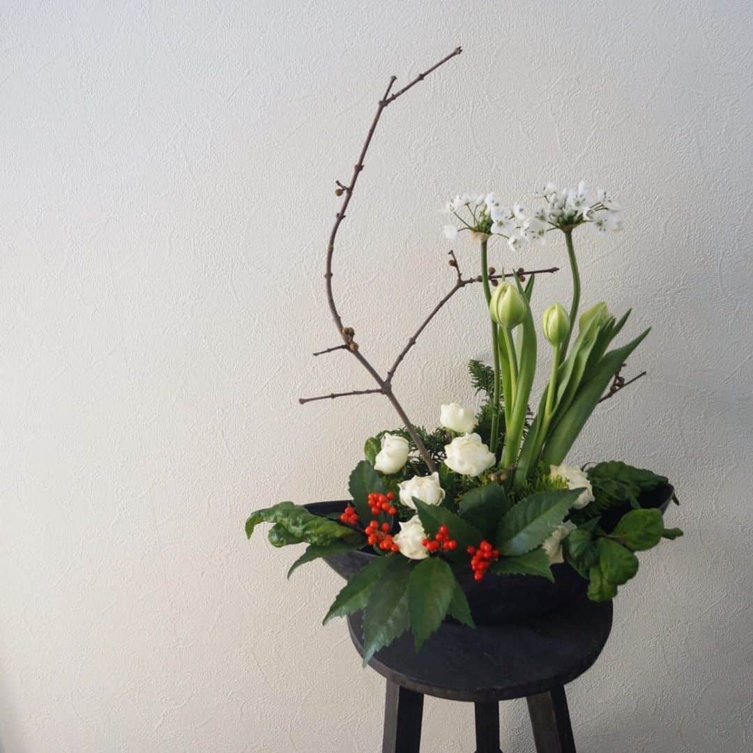 MILLE ECLAT.さんのインスタグラム写真 - (MILLE ECLAT.Instagram)「写真のお花はお正月のアレンジメントです🎍 . しばらく経つと . 蝋梅が咲いて . いい香りがします✨ . 新年にお花を楽しみませんか？ . お正月のアレンジメントや花束つくります💐✨ . 明日12月30日(月)も10:00から営業いたします。 . （10時前でもお店の扉が開いてたら、中でスタッフが作業しているので入って大丈夫です🙆‍♂️） . ご来店お待ちしております☺︎ . #ミルエクラ #正月花 #蝋梅」12月29日 19時27分 - mille_eclat