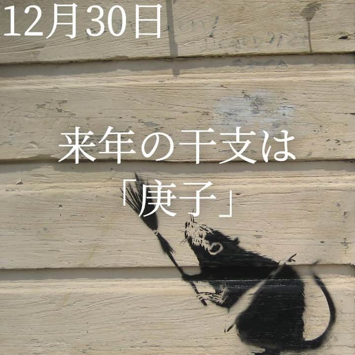 SOLARITAのインスタグラム