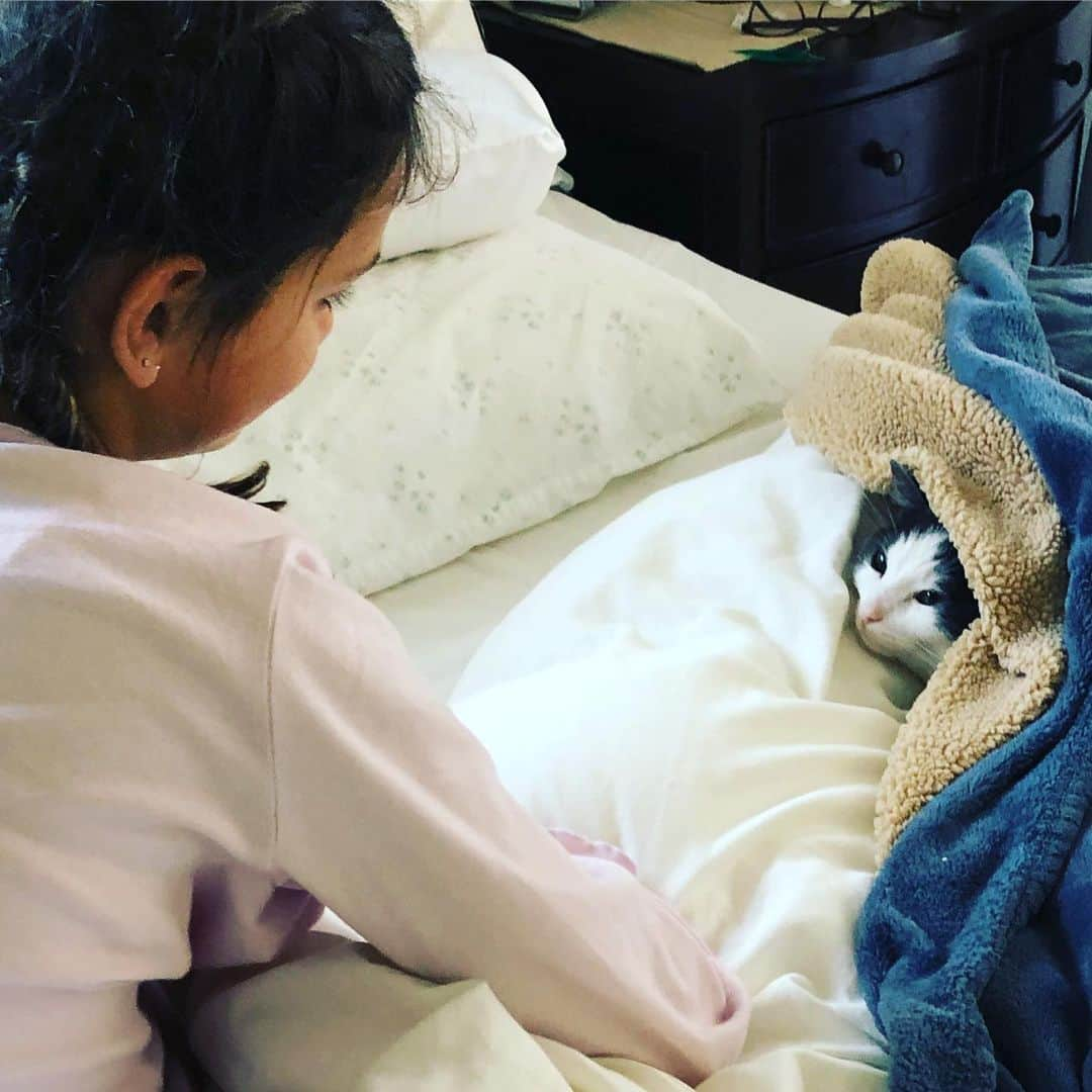 コンスタンス・マリーさんのインスタグラム写真 - (コンスタンス・マリーInstagram)「#Caturday on a Sunday. I love these cozy mornings..... This pic is titled #BestFriends  #RescueCat #Sunday #PETA」12月30日 6時08分 - goconstance