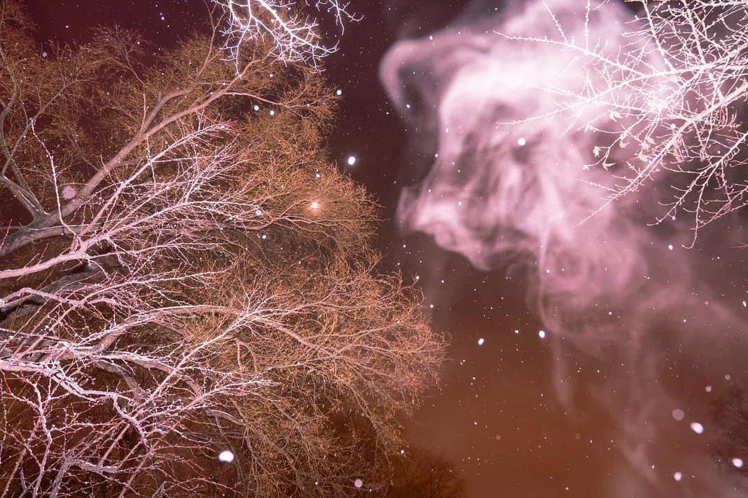 Hikaruのインスタグラム：「Fairy of snow. . . シャッタースピードを遅くして、 雪がはらっと舞った瞬間。 都会の夜の薄ら赤みがかった夜空。 . . .  #北海道 #instagram #instagood #lightroom  #instagramjapan #東京カメラ部 #tokyocameraclub #natgeospace #bealpha #SonyAlphasClub #pashadelic #team_jp #bestjapanpics #natgeo #sonyphotography #日本の絶景 #nd64 #ig_great_pics #BBCtravel #ig_worldclub」