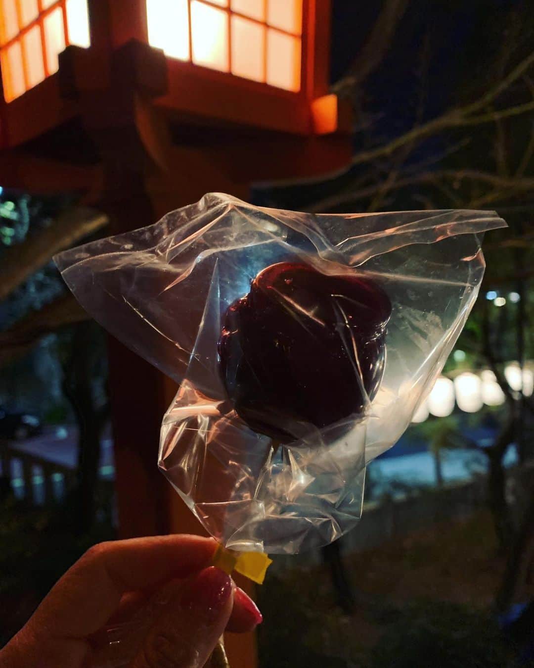 沢口千恵のインスタグラム：「打ち合わせ終わって、ひとり神社。  姫りんご飴。 名前を告げるだけでときめく。  うふふ、あはは そんな気分になる。  姫りんごって 最高にかわいい名前。  年末の空気はとても心地よくて 精神、リセット。 丹田あたりが神殿になるような感覚。  仕事納めは12/31  仕事はじめは1/1  というこれも私らしいかなと。  未熟ゆえに時間がかかちゃうんだよな。 もっとしゃっきりいきたい。  写真は姫りんごちゃんと いただいたお花とクリーム。  いと嬉し。」