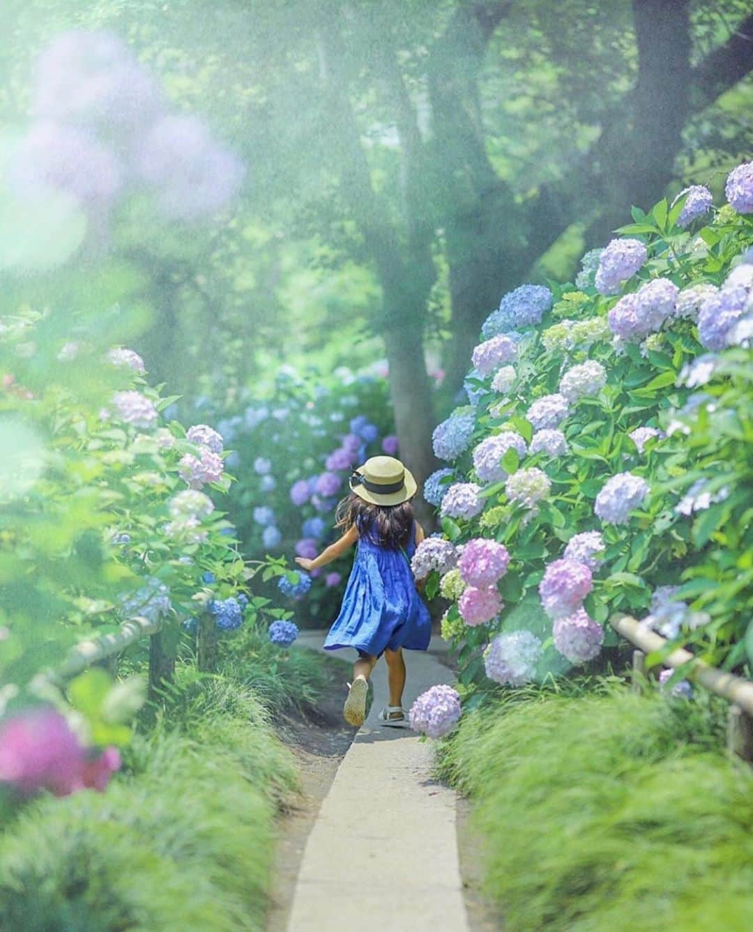 はなまっぷ❁日本の花風景さんのインスタグラム写真 - (はなまっぷ❁日本の花風景Instagram)「🌸🍺はなまっぷの忘年会2019🍺🌸 * @em_ka0504 さんの  2019年のお花に花まるを💮 * 今年一年素敵なお花をたくさん ありがとうございました😊🌸💮 * 1.2奈良　矢田寺 3大阪　舞洲シーサイドパーク 4岡山　蒜山ジャージーランド 5岐阜　いちのえだ田園フラワーフェスタ * 🌼•••🌹•••💠•••🌷•••🌸•••🌺 * 💮みなさんの2019年のお花に花まるを💮 * 今年撮影されたお気に入りのベスト5 （5枚以内なら何枚でもok） を複数枚一括投稿で、 #はなまっぷ忘年会2019 に投稿お願いします😊 * みなさんのご参加お待ちしております🍺 * #はなまっぷ * 🌼•••🌹•••💠•••🌷•••🌸•••🌺 * #日本#花#花畑#花のある風景」12月29日 22時03分 - hanamap