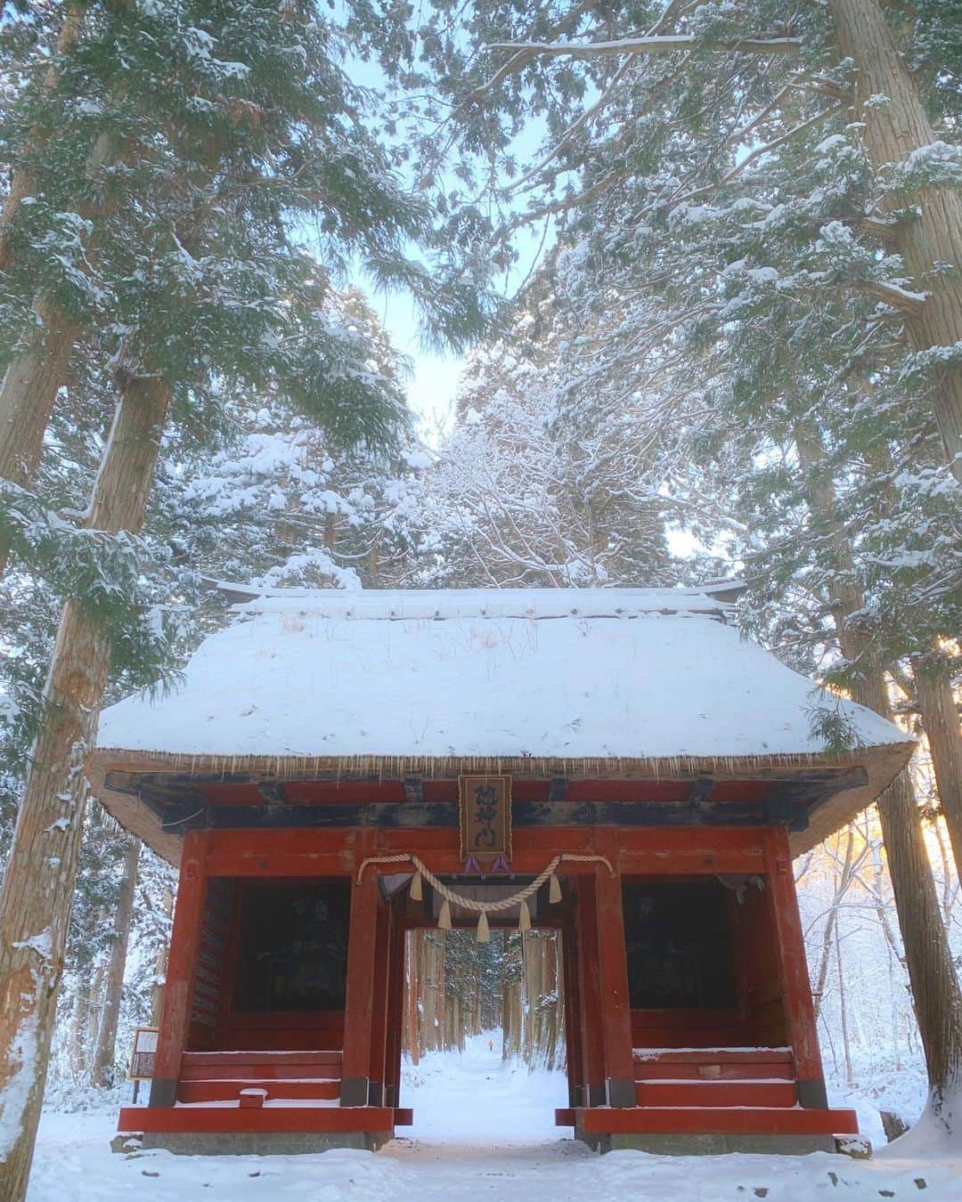 JAPANさんのインスタグラム写真 - (JAPANInstagram)「Togakushi Shrine」12月29日 22時10分 - japan_gram