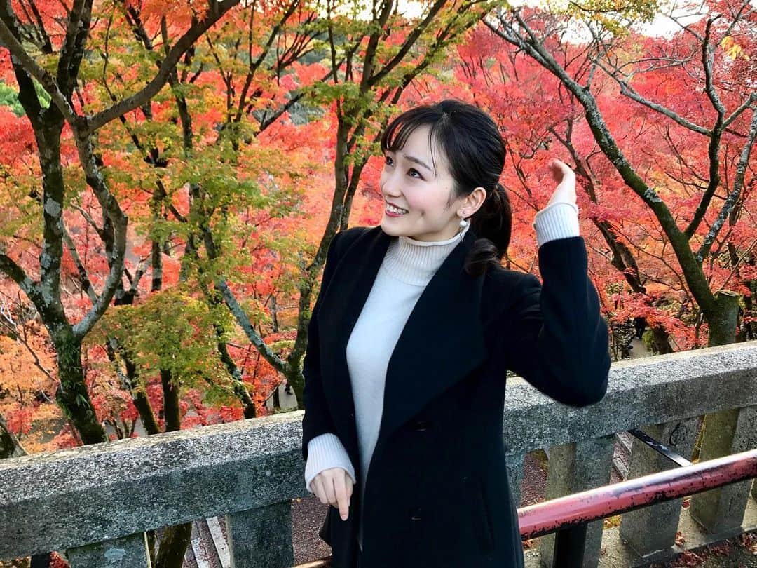野口真未のインスタグラム：「・ ・ 11月終わりに出かけた紅葉狩り🍁🧡 ・ ・  #京都 #紅葉 #清水寺 #東寺ライトアップ  #宝厳院ライトアップ  #そうだ京都行こう」