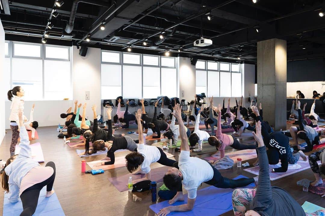 梅澤友里香さんのインスタグラム写真 - (梅澤友里香Instagram)「年末恒例の @farmersmarketjp 【Year end Yoga #年忘れヨガ 】 今年も沢山の方々に集まって頂き、 1年の最後にヨガをし、心と体を 見つめ、スッキリと次の年へ✨✨✨ ・ またこうして1年を振り返り みんなの笑顔を見て 『また来年！』『良いお年を！』 と言える事が最高に嬉しいです🥺❤️ ・ 何度も言います。 みんなの笑顔が最幸のパワーの源です🥺❤️✨ ・ 私自身、この一年。 沢山のチャレンジに恵まれた年でした。 ・ 毎日のレギュラークラスに加え 週末のヨガイベント&WS 54本（曖昧な数え方ですが😅） リトリートやトークショー ヨガモデルや監修・プログラム作成 自主企画イベントなど。 ・ #フレーバーライフ社 さんと共同で #TRiptiyLife アロマ監修・発売 ・ 天然石アクセサリーブランド @yuj_you ・ デザインアドバイザー・イメージモデル就任 ・ 今年は昨年より盛り上がり 様々な方面から依頼がありました。 #まかゆりコラボ @m.cookingsalon ・ ・ 春からは #浅井企画 文化人として 活動の一部をマネジメントして頂いております。 ・ 書けてないものも沢山ありますが。。 なんだか書き出すと目が回りそうな1年😳 だけど、思い出を思い返すと 全てワクワクして私自らが望み 心から楽しんで活動していけました。 これは本当に受けに来てくれる皆さん。 その裏で支えてくれる 様々な方面の皆さんのお陰です🙏🏻✨ 本当に本当に感謝します🥺🙏🏻✨ ・ 私自身の思いはブレない。 そんな気持ちですが 自分の思う自分。と 外から見る私。 は少し違う部分もあるようで。 ・ それに少し戸惑いを覚える時もありました。 だけど、その時その時に 必要な人や言葉が自然と私の前に現れ 良いのか悪いのか。それは私次第で。 『成る様に成る』 ・ 揺れ動くマインドは揺れ始めると 更に揺れてしまう事がある。 だけど必ず収まる時が来る。 だからYogaをしよう。 ただシンプルに❤️ ・ 今年もYogaを通して沢山の Happyと笑顔に出逢い そして学び、時に傷つき また癒される。 本当にYogaは人生そのもの。 ・ またその深さを実感出来た一年となりました❤️ ・ まだまだ未熟な私ですが 心を穏やかに。そして強くしなやかに。 恐れずに前に進む事。 自分自身やインスピレーションを信じる事。 失敗しながらでも良いさ。 その先に見えるVISIONを大切に✨✨ ・ そんな想いを胸に刻みます🙏🏻✨ 来年もやりたい事沢山あるし、挑戦も沢山したいです！💪✨ ・ また長くなりました。 もぅ絶対的な恒例です（笑）😂 ・ 兎にも角にも。 今年もみんなとYogaが出来て super Happyでした🥺❤️❤️❤️ ・ 大好き❤️愛してる❤️ LOVE ALL❤️❤️❤️ ・ 2020年もよろしくお願いします🥺❤️ ・ 年始ヨガは @atyogalife_minamiaoyama がお休みに入る為予約受付を締め切りました🙏🏻 これから予約したい方は 私のプロフィールリンクHP『content』からお問い合わせ下さい！ ⚠️予約状況⚠️ ⭐️1/2 → 満員⭐️1/3 → 余裕あり ⭐️1/3 13:00〜のWS →余裕あり ・ ・ 今日は本当にありがとうございました😍✨ また来年もお会いしましょう💕 良い年末年始を❤️❤️❤️ ・ また投稿します🙏🏻✨🥰 ・ ・ photo by @oh_tomas_92 ・ Today wear @lululemonjp ・ ・ ＝お知らせ＝﻿ "梅澤 友里香 友里yoga"のLINE＠はじめました！﻿ 登録ID→ ggv9775f﻿ https://line.me/R/ti/p/%40ggv9775f﻿ ※プライベートアカウントではありません。 ・ #ヨガつぶやき  #年忘れヨガ #梅澤友里香 #YearendYoga #farmersmarket  #青山ファーマーズマーケット #朝ヨガ #表参道 #オーガニック #ヨガと食 #ヘルシーライフ #ベジタリアン #organic  #yoga #yogainstructor #ヨガ #ヨガインストラクター #wellness #naturalbeauty #model #fitnessmodel #美と健康 #beauty #health #yogalife #yogini」12月29日 22時38分 - yurika_umezawa