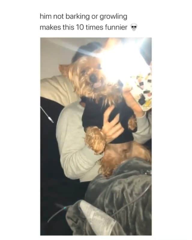 Funny Postsのインスタグラム：「••••••••••• 😂 Me, refusing to go back to work after the holidays 💬 Video by: @giannavieno 🎥 Double tap for more videos!」