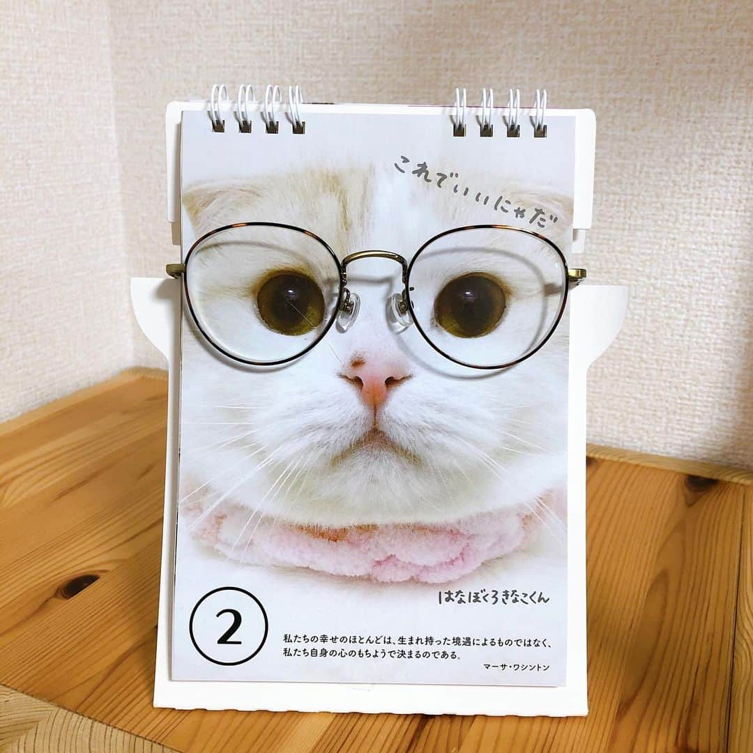 はなぼくろきなこさんのインスタグラム写真 - (はなぼくろきなこInstagram)「メガネあったぁぁ！！！！！！👓 メガネ入れたと思ってたメガネケース、きなパパのやった！！！！！ ふたりともJINSで買ったから全く同じケース使いよって、自分のメガネが入ってるとおもってたケースがきなパパのやったー😂 よかったーーーー😂💗💗💗 . . . . 写真はメガネ見つかった記念に、めがね次第カレンダーに載ってるきなちょに👓かけてもらって撮影してみた🥺💗 はー、よかった。あと少しで新しくメガネ買うとこやったわ。新しいのもほしいけどさ。オキニのメガネやからなくしてたらショックやった😂 . . . . #はなきな #猫部 #めがね次第  #にゃんこ  #スコティッシュフォールド #猫  #猫のいる暮らし #😻 #みんねこ」12月29日 23時39分 - hanabokurokinako