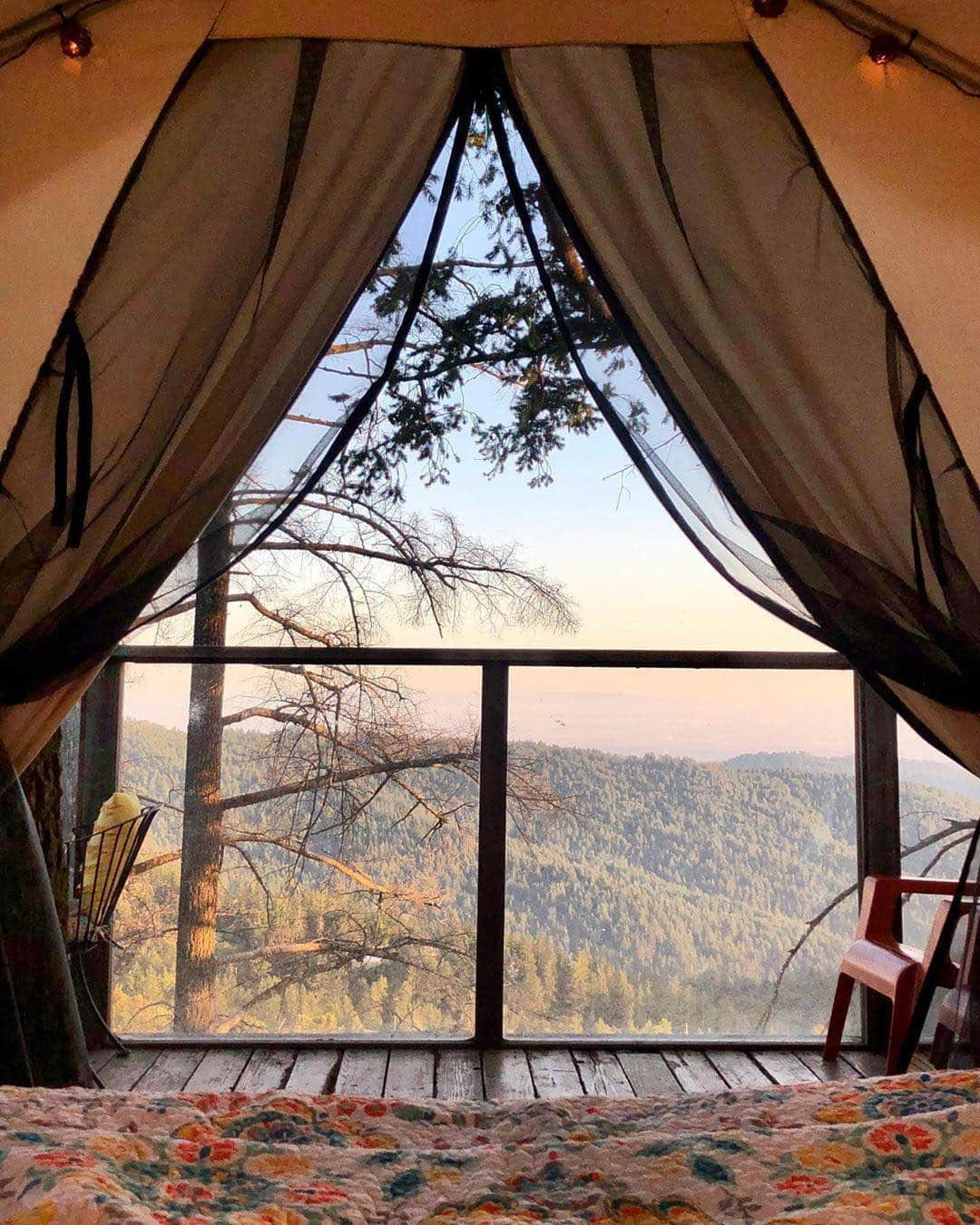 Airbnbさんのインスタグラム写真 - (AirbnbInstagram)「Superhost Robin’s treehouse is cradled by Douglas Firs high above a vineyard in the Santa Cruz Mountains. The view has a way of making guests linger, but the beach is only a half-hour away. If you do venture out, here’s some pretty good advice: start your day with a Good Morning Sandwich at Pretty Good Advice, a produce-driven takeout spot just down the mountain.  Photo: @prachi9」12月30日 0時12分 - airbnb