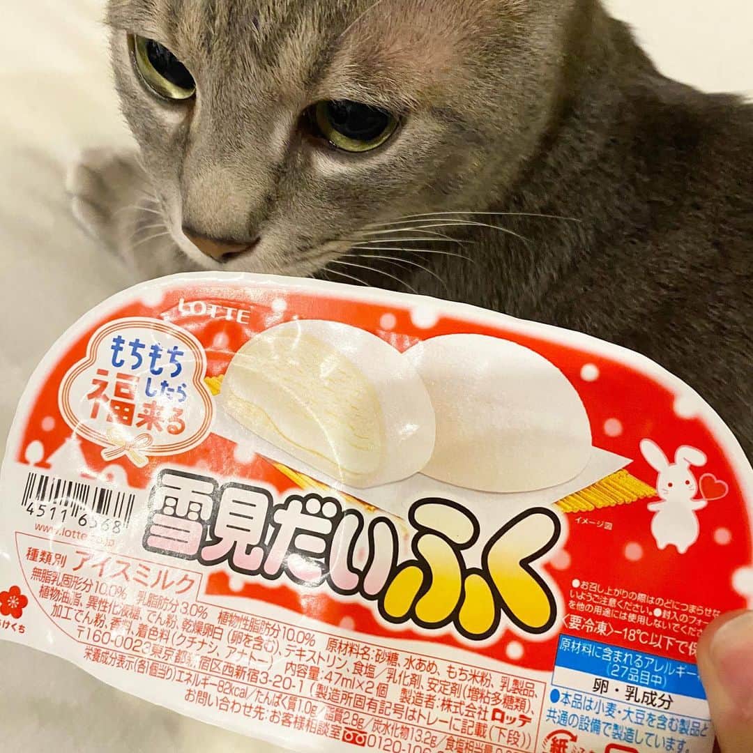 本田みずほのインスタグラム