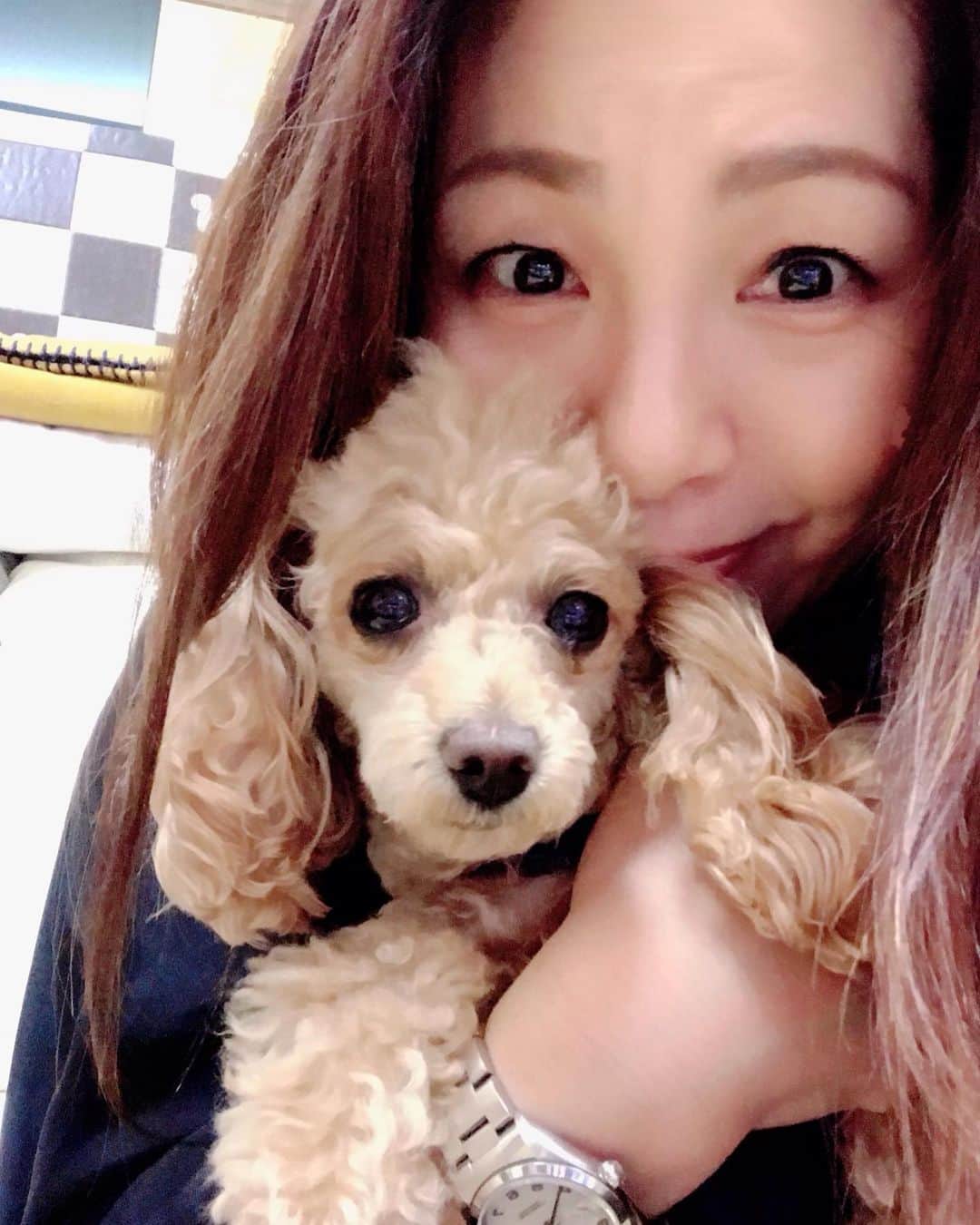 井上貴子のインスタグラム：「令和元年もあと2日でおわるね。  赤坂BLITZの翌日から 自宅の大掃除をはじめて…  一箇所ずつ引っ越してきた時くらいまで戻してやるので…  時間をかけてしっかり丁寧に やっているのだけど…  年々集中力が 低下していく気がする（笑）  朝はべにひおのお散歩あるし トレーニングもあるし 忘年会もあるし 道場の大掃除もあるし 毎年の会社の年賀状の 「ひとこと」書きが何百枚もある。  ディナーショーやお餅つきもある。  キツキツなスケジュールの中に 「台所」とか「洗面所」とか 書き込んでこなしていく…  今日はお風呂の浴槽を解体して （笑）  隅から隅まで汗だくでピカピカに。  その浴槽に浸かりながらの投稿よ。  そして明日はとうとう  リビングの家具を動かして 何も無い状態にして  平成最後のホコリを拭い取り 気持ちの良い新年を迎えます！  来年も「艶」を目標に！ 自分自身も 自身の仕事も 一歩も後退することなく 1ミリでも前に進むこと。  ソレを「艶」と決め がんばるぞーー^ ^  Happyで^ ^  #井上貴子  #LLPWX #女子プロレス #紅緒と柊音 #べにひお #トイプードル #大掃除 #神取忍 #大塚道場 #艶」