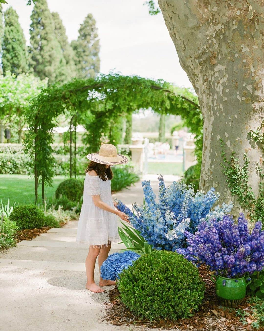 メリル・デイヴィスのインスタグラム：「I could forever wander through the gardens of @provencepoiriers. If you didn’t see my post yesterday, I’m going back over the next few days to share some shots from our June wedding - taken by the talented @oliverflyphotography 🦋」